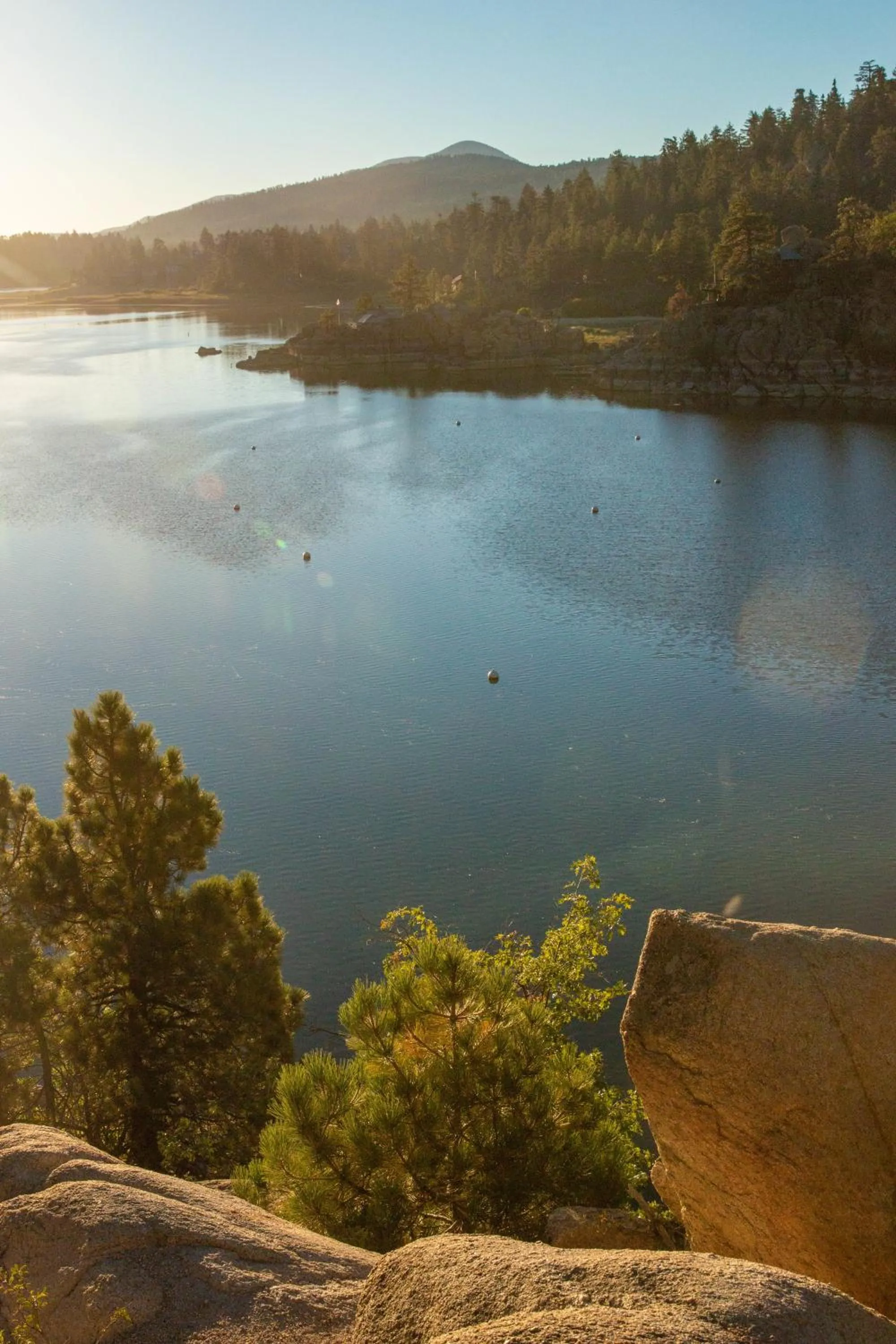 Natural landscape in Embers Lodge & Cabins