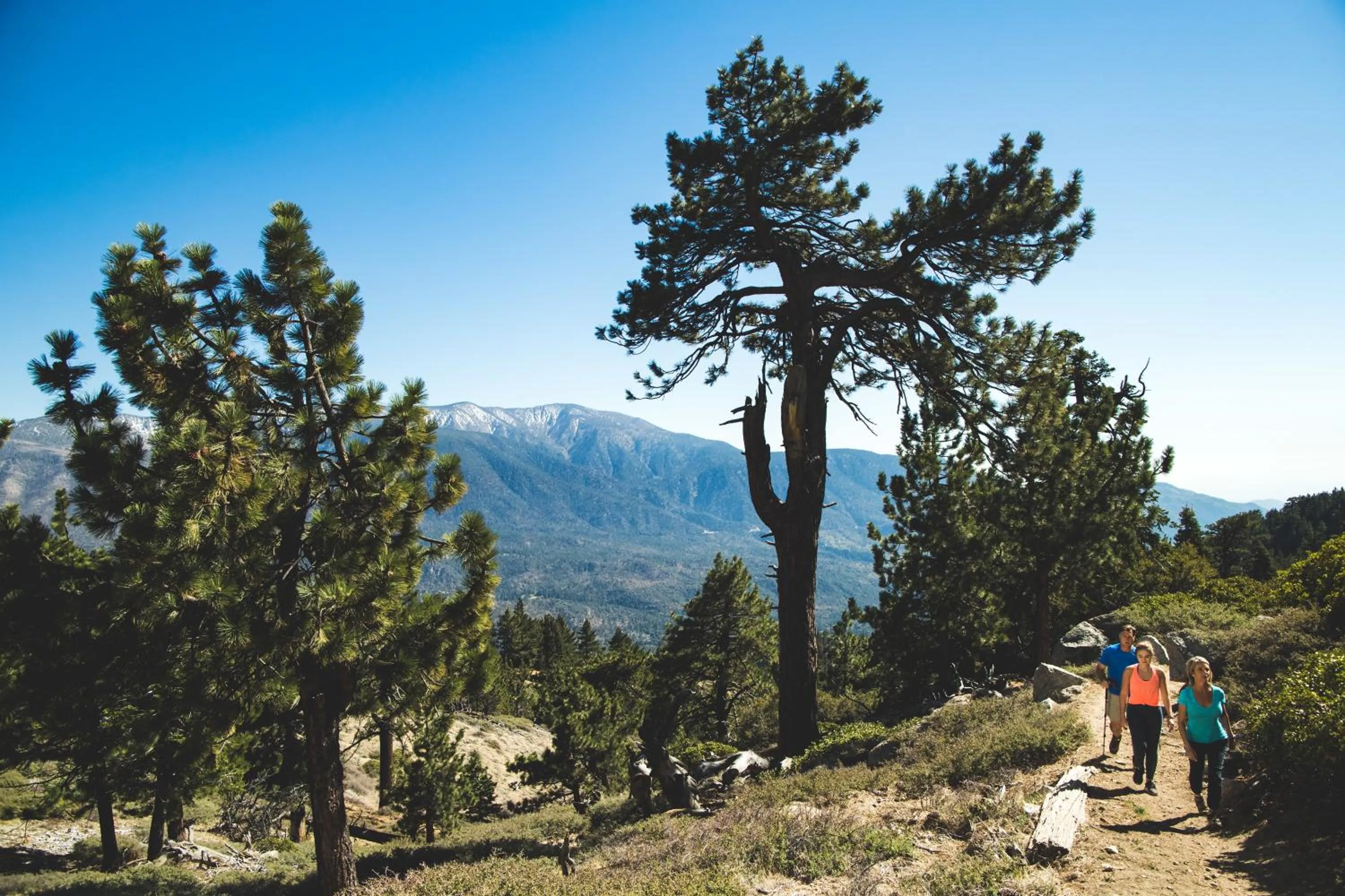 Natural landscape in Embers Lodge & Cabins