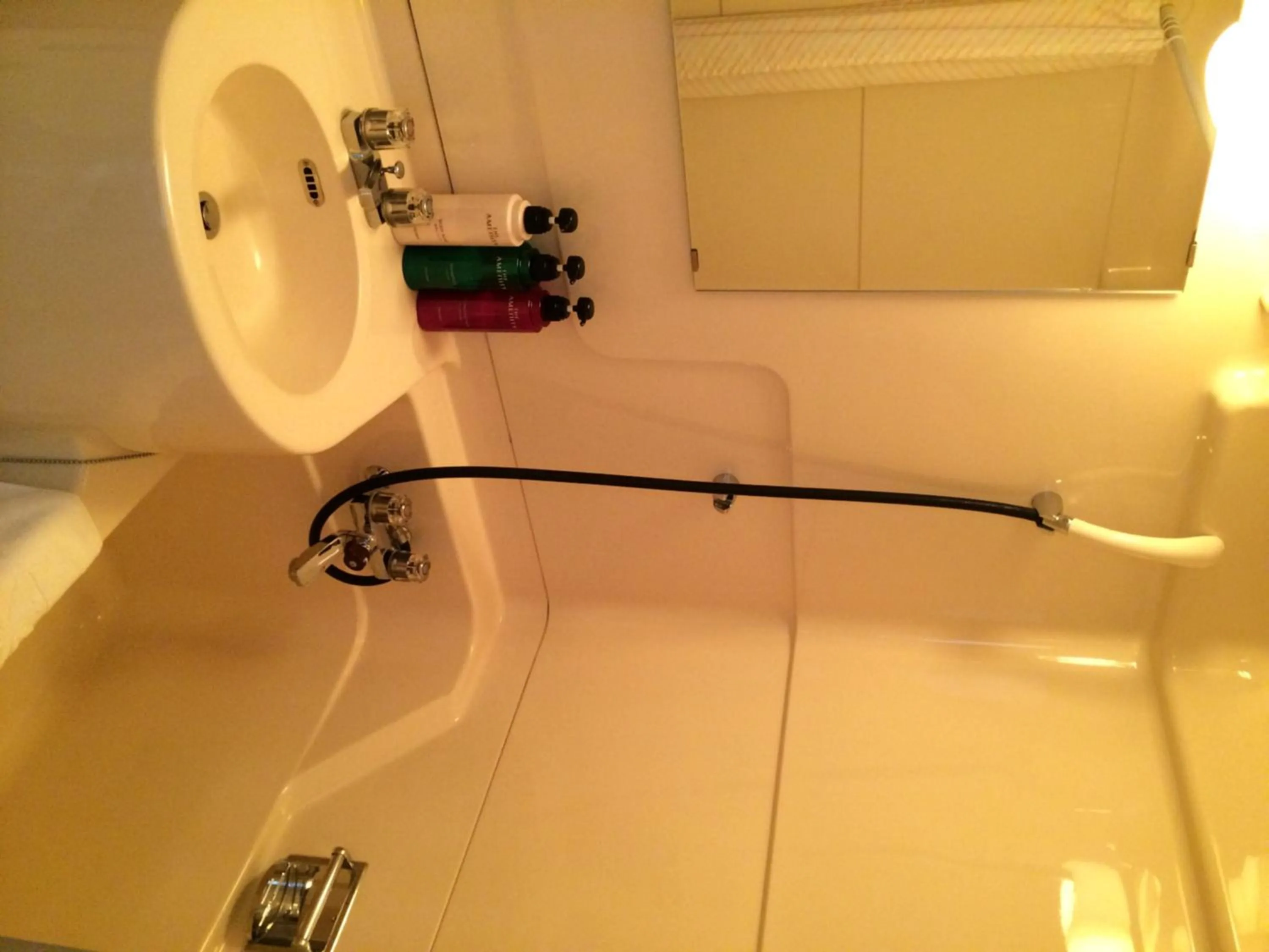 Bathroom in Sky Hotel Uozu Annex