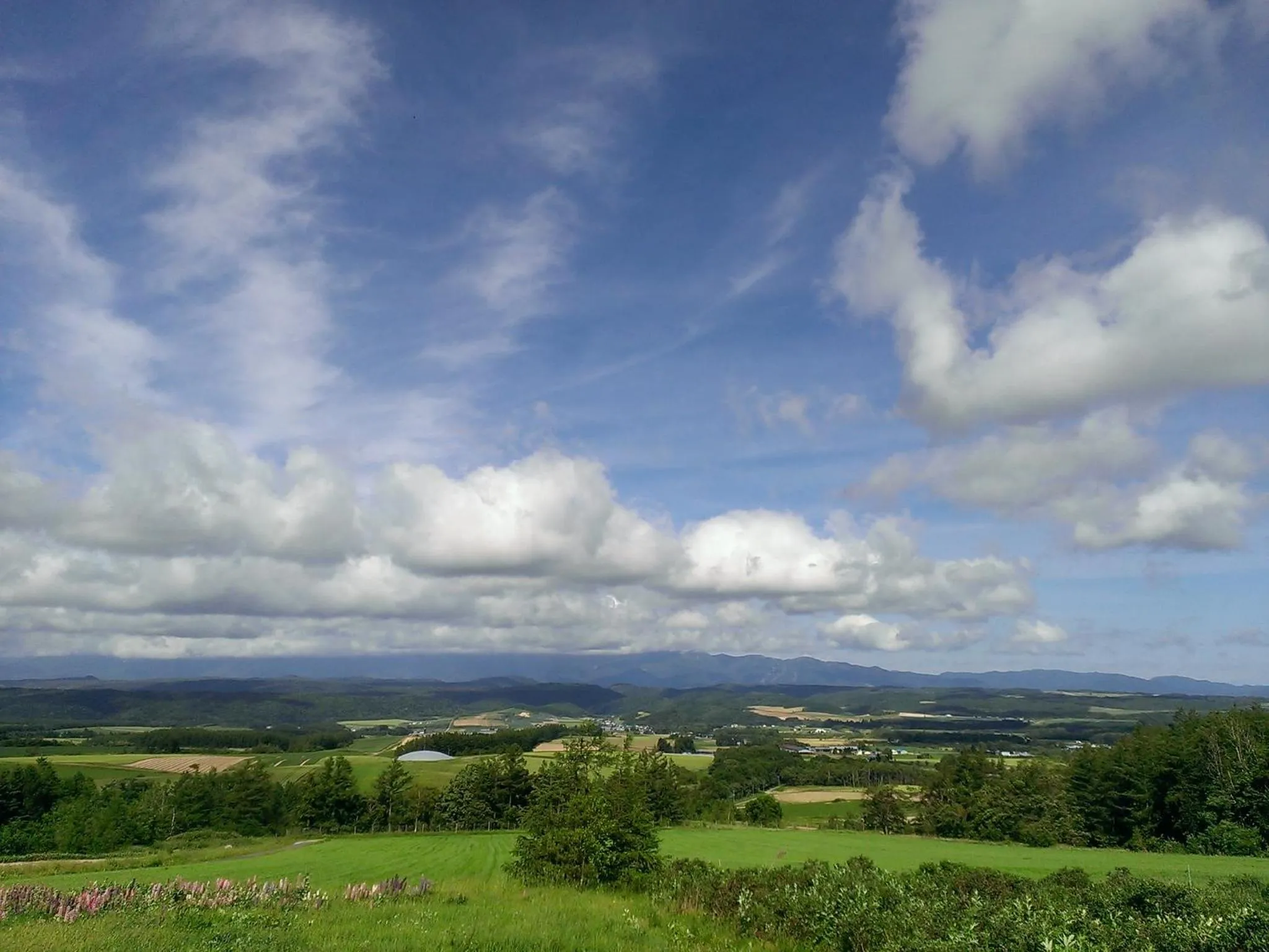 Other in Pension Gooseberry