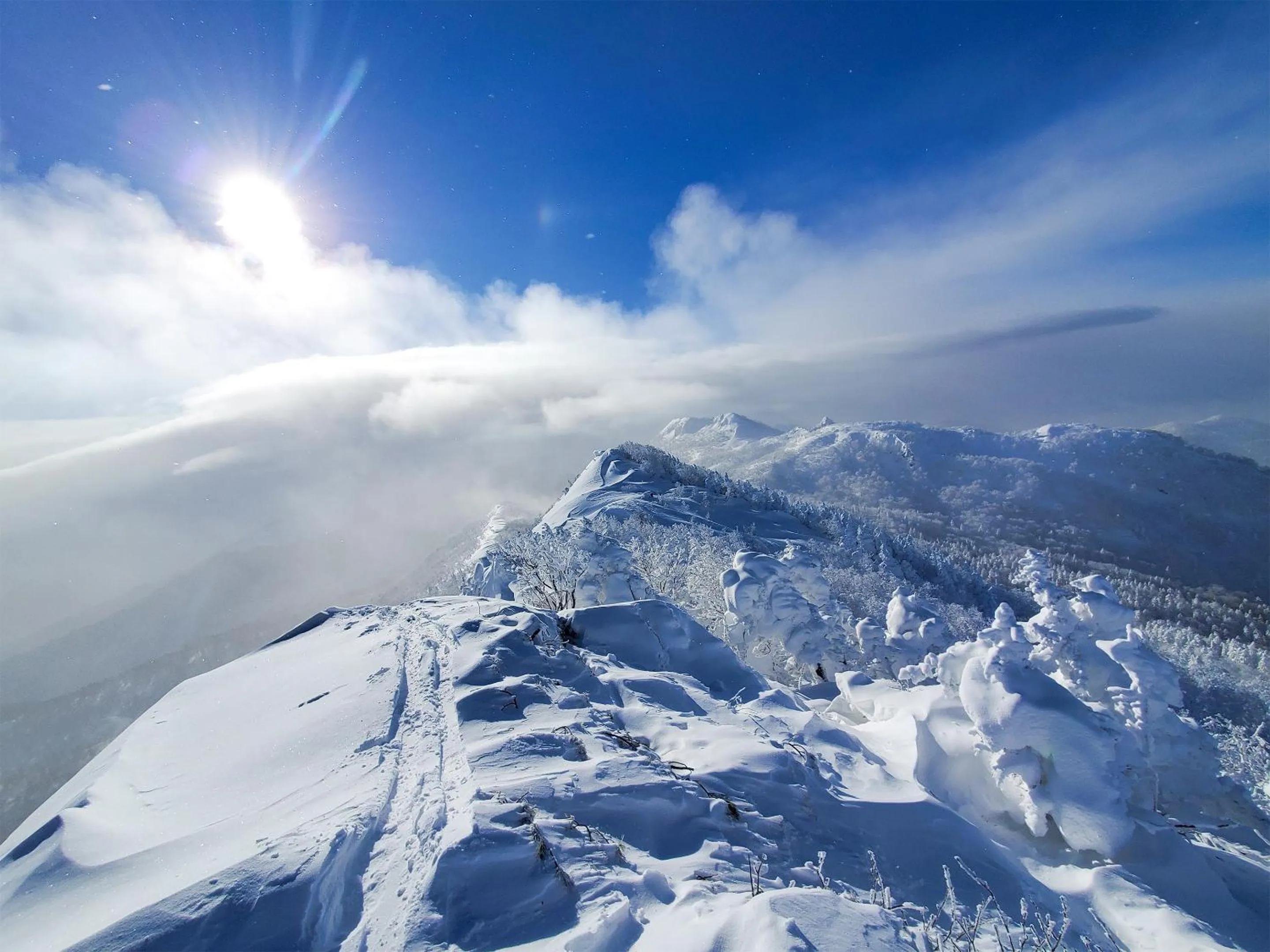 Off site in Pension Gooseberry