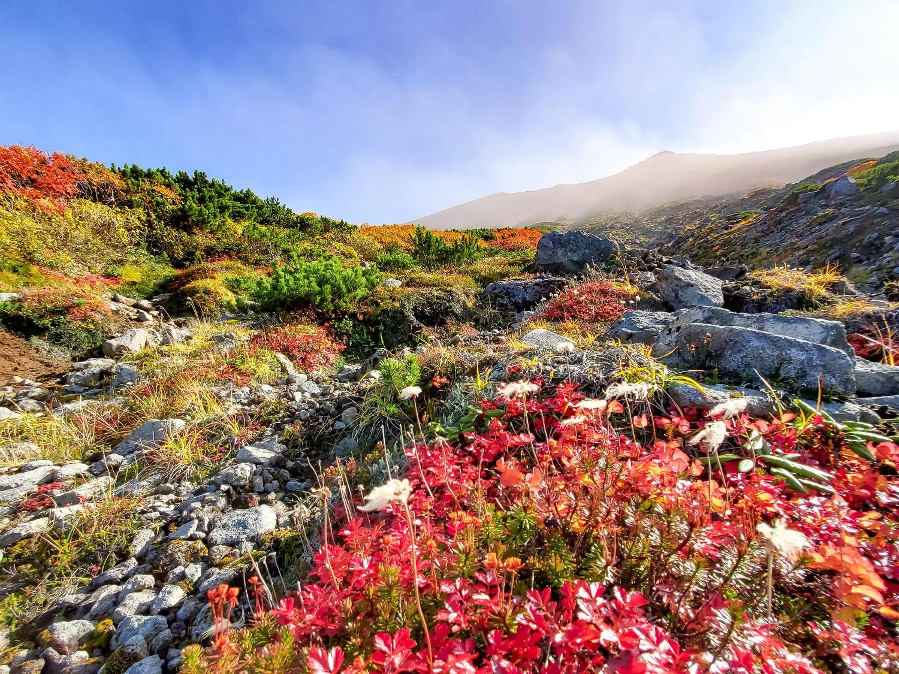 Off site in Pension Gooseberry