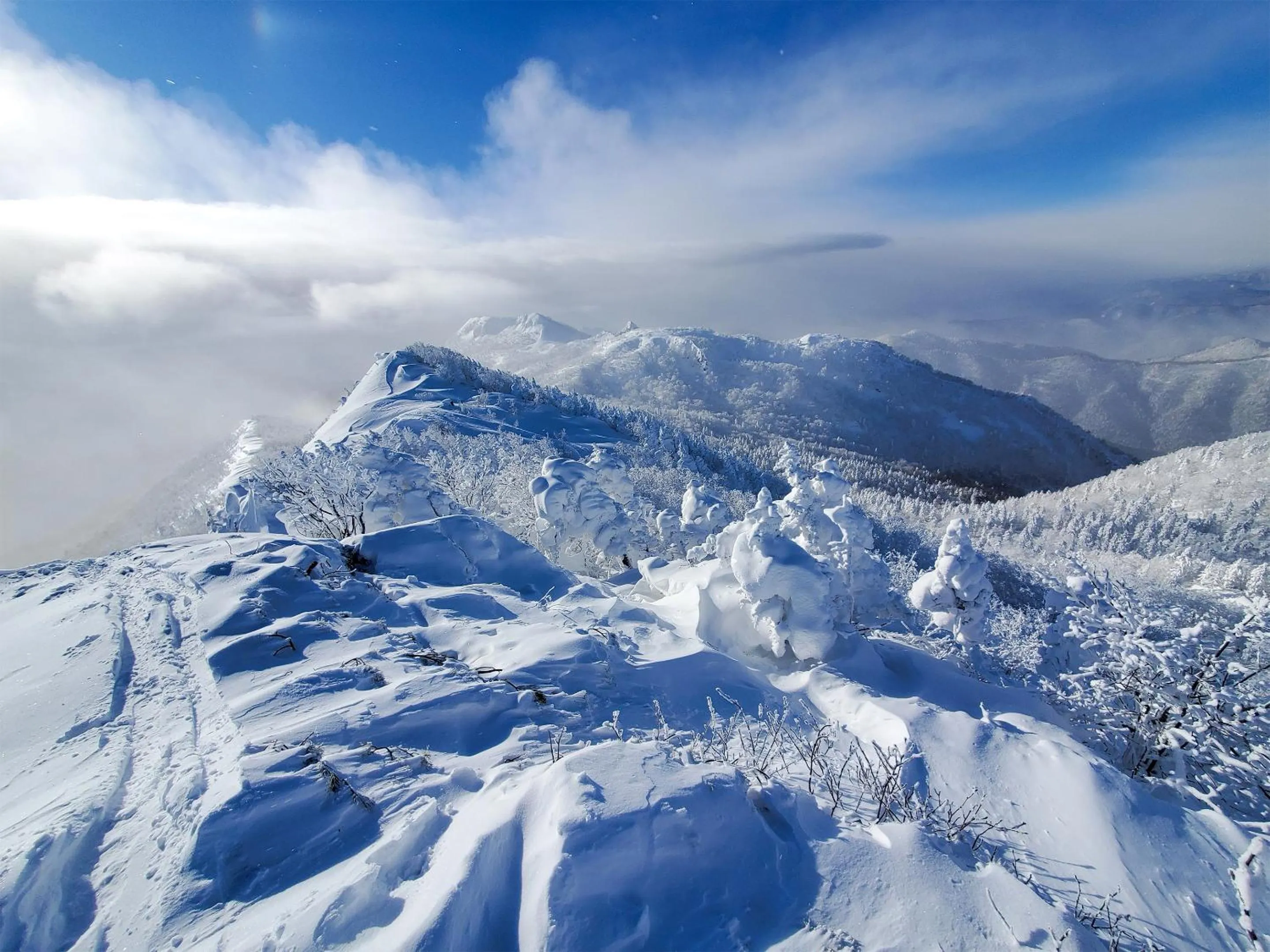 Off site in Pension Gooseberry