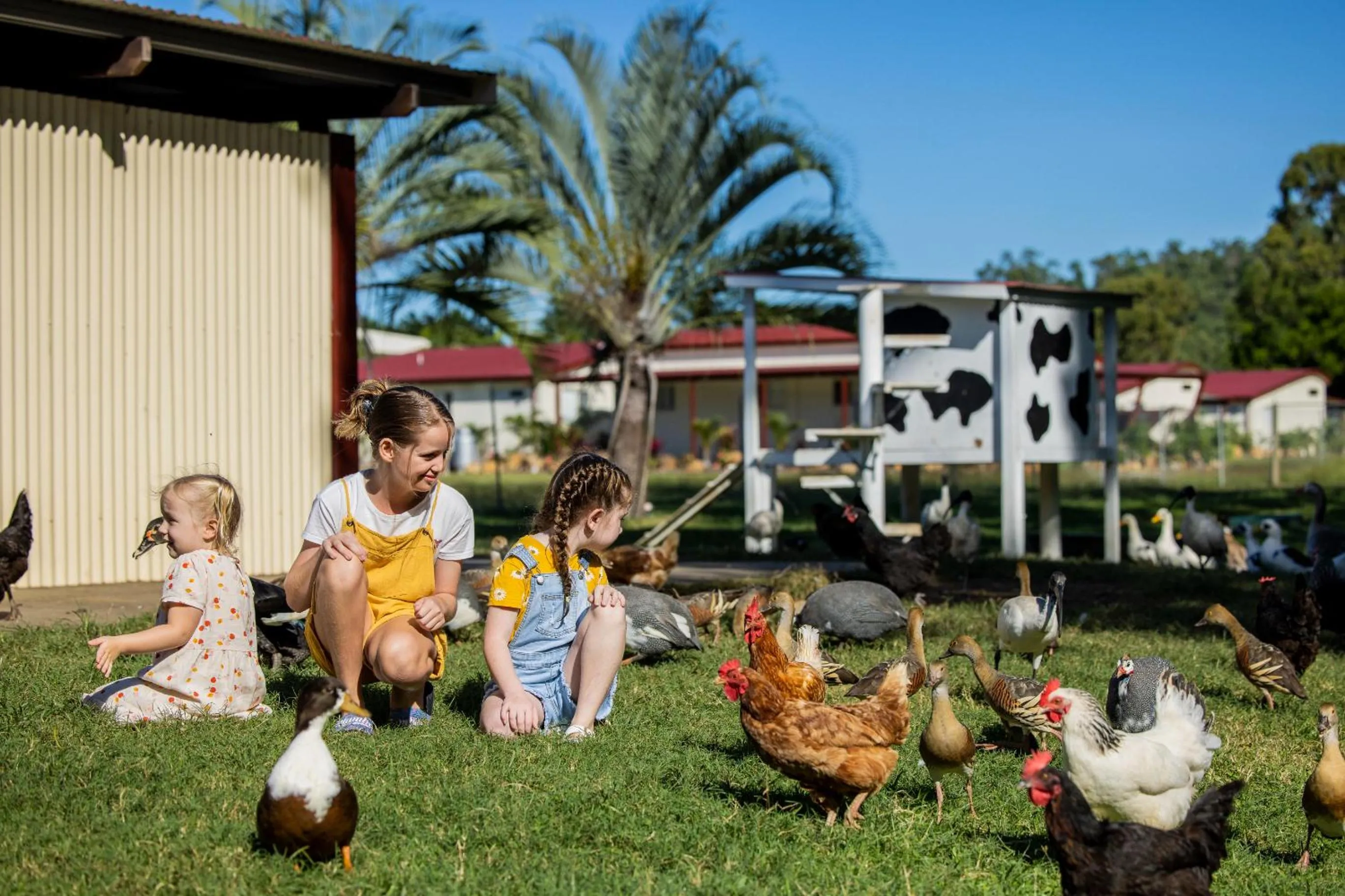 Animals in BIG4 Adventure Whitsunday Resort