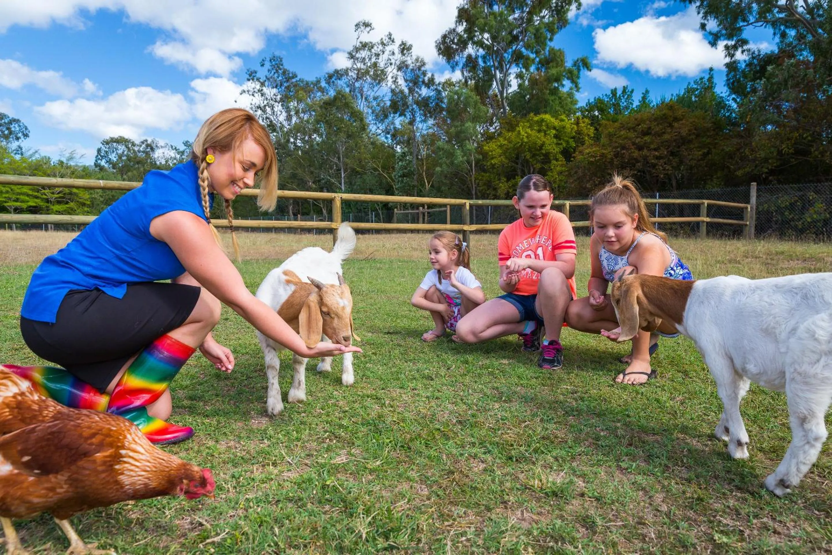 Animals in BIG4 Adventure Whitsunday Resort