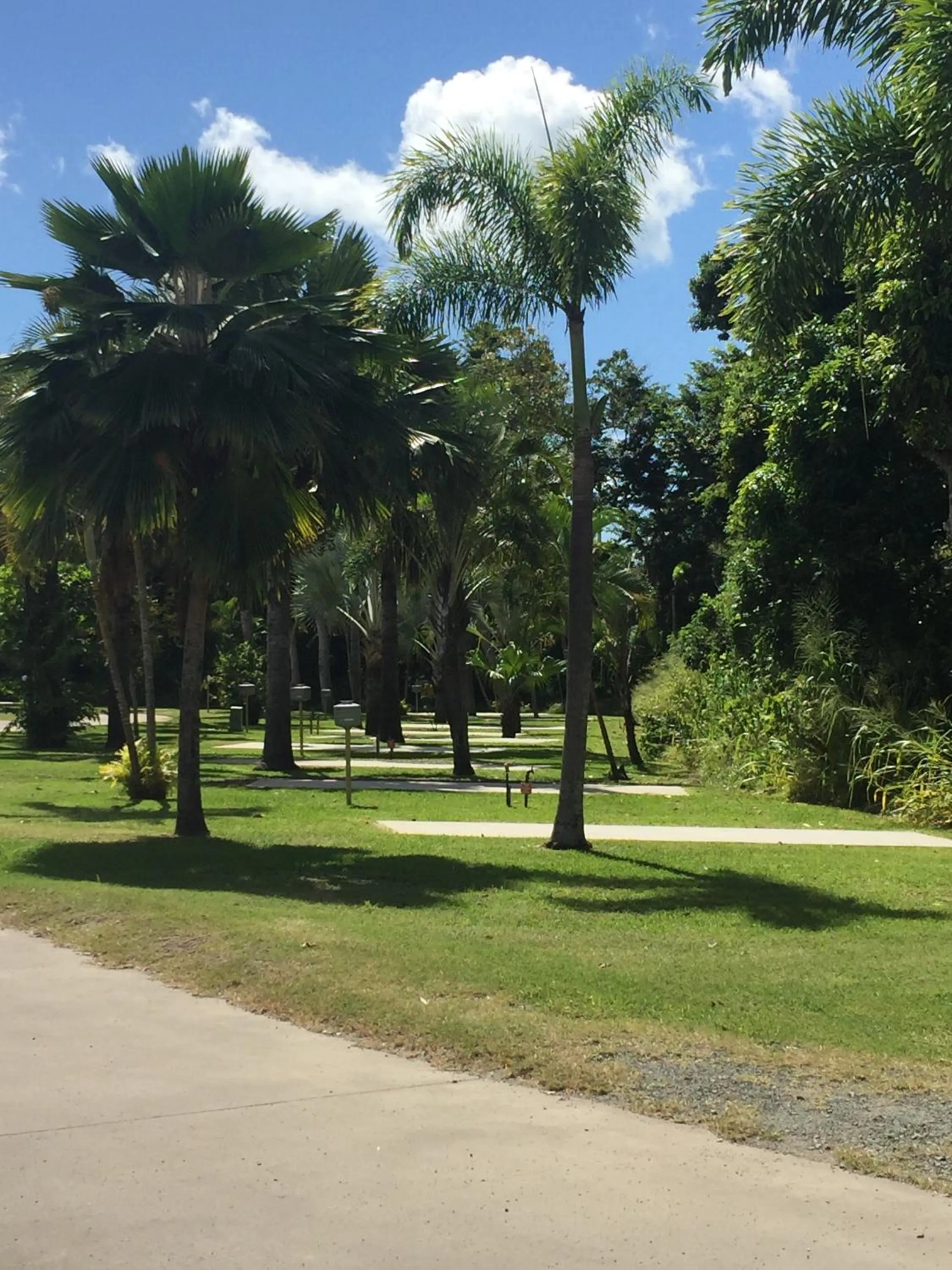 Garden view in BIG4 Adventure Whitsunday Resort