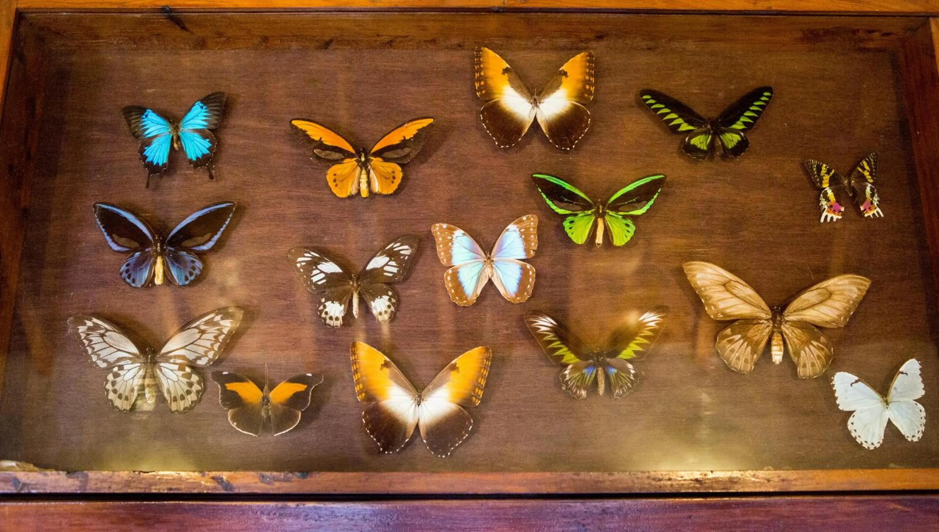 Decorative detail in Fredy's Bungalow near Nainital