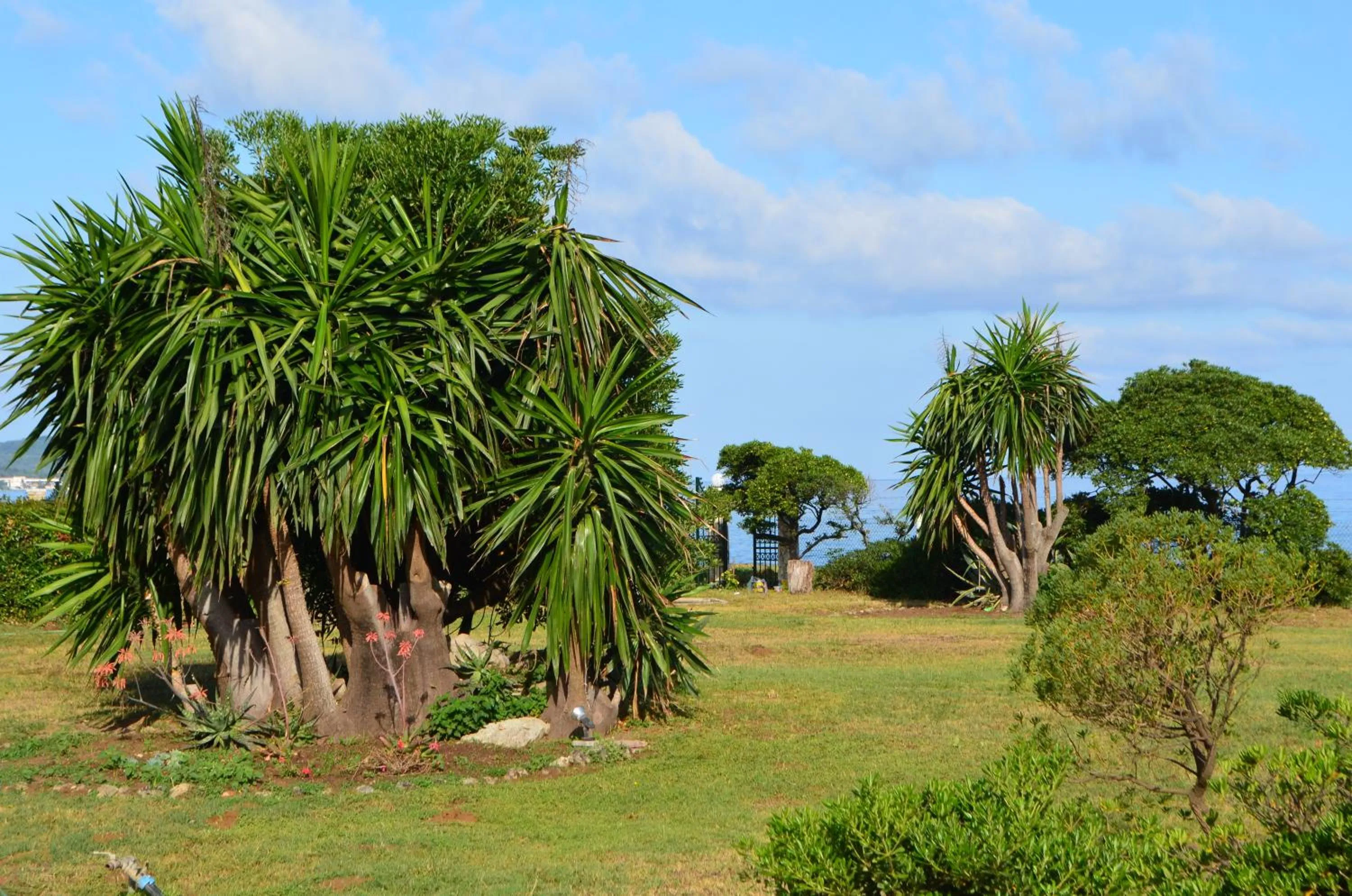 Natural landscape in Akti Anastasia