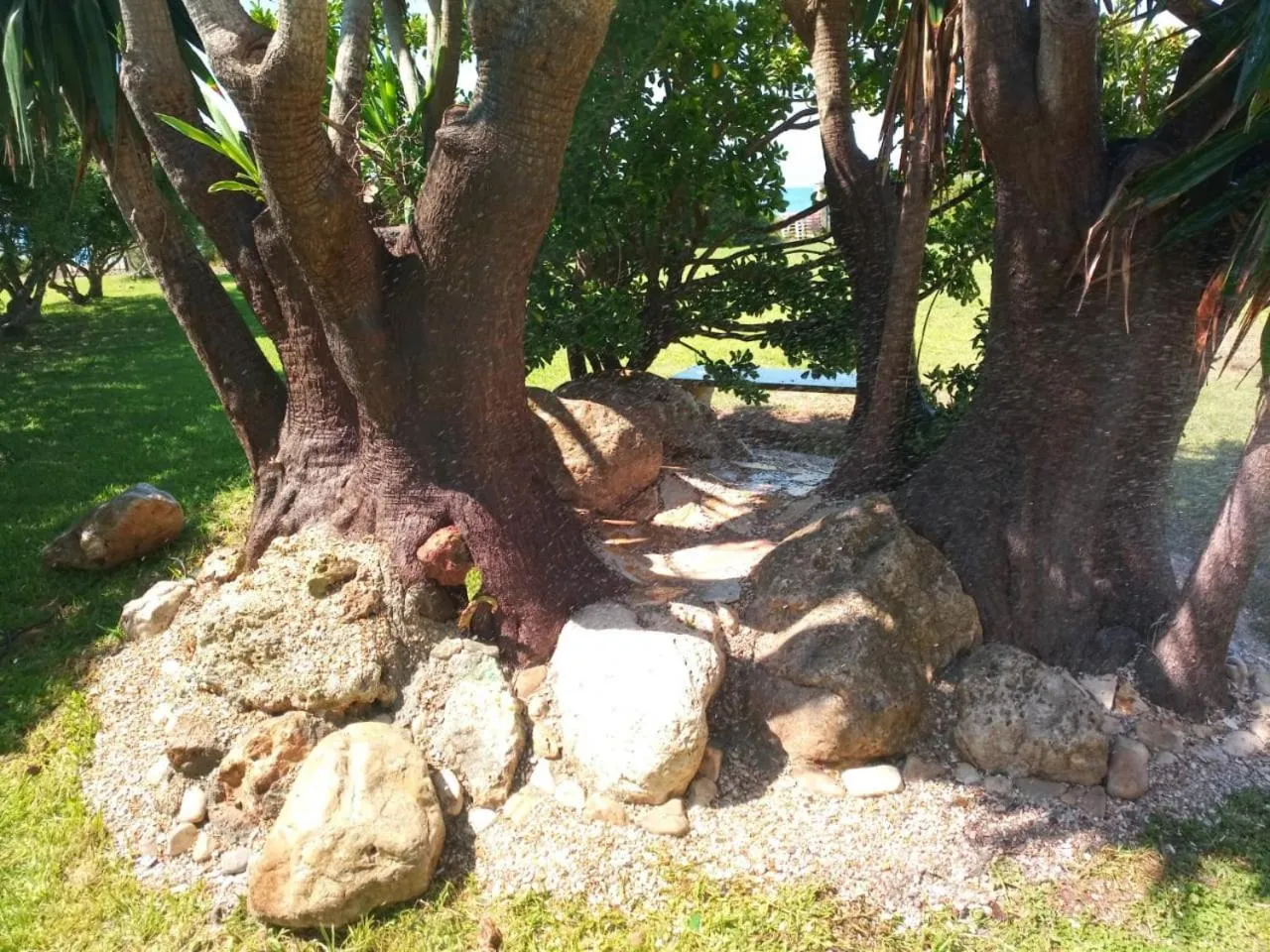 Garden in Akti Anastasia