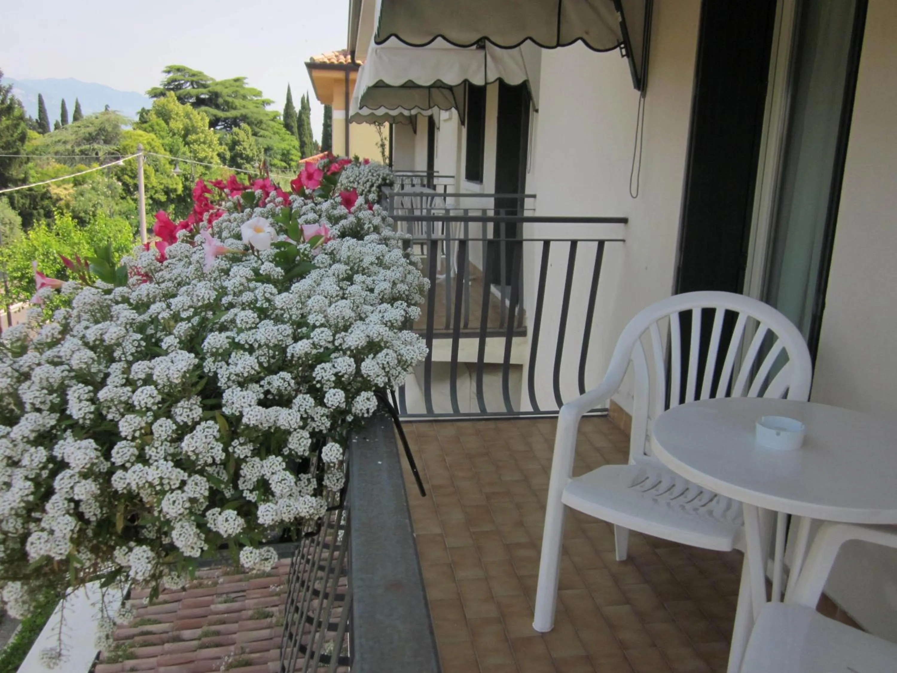 Balcony/Terrace in Hotel Marina