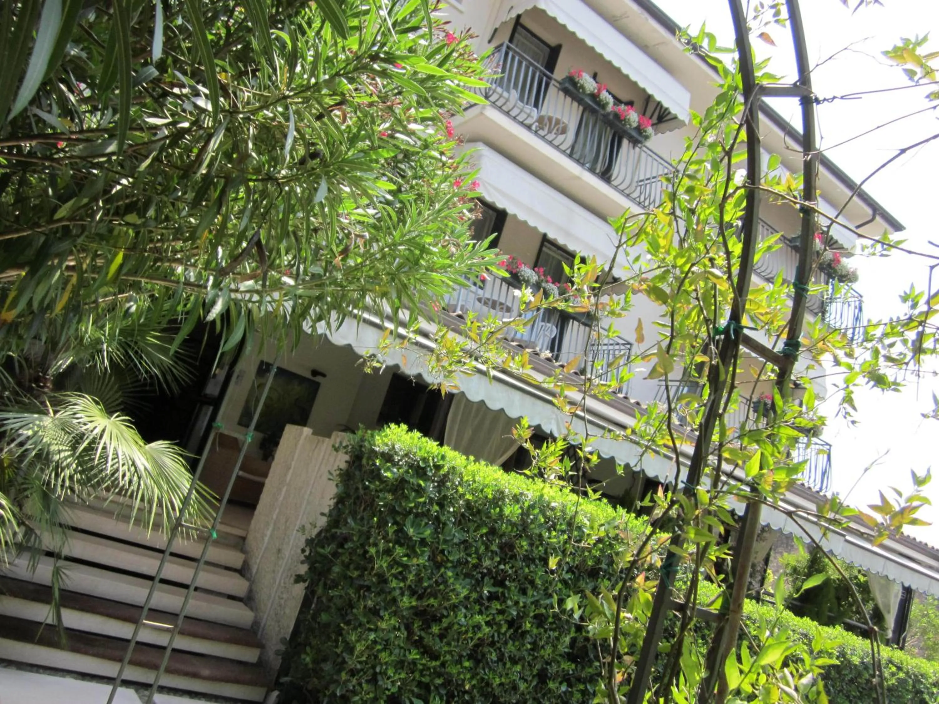 Property building in Hotel Marina