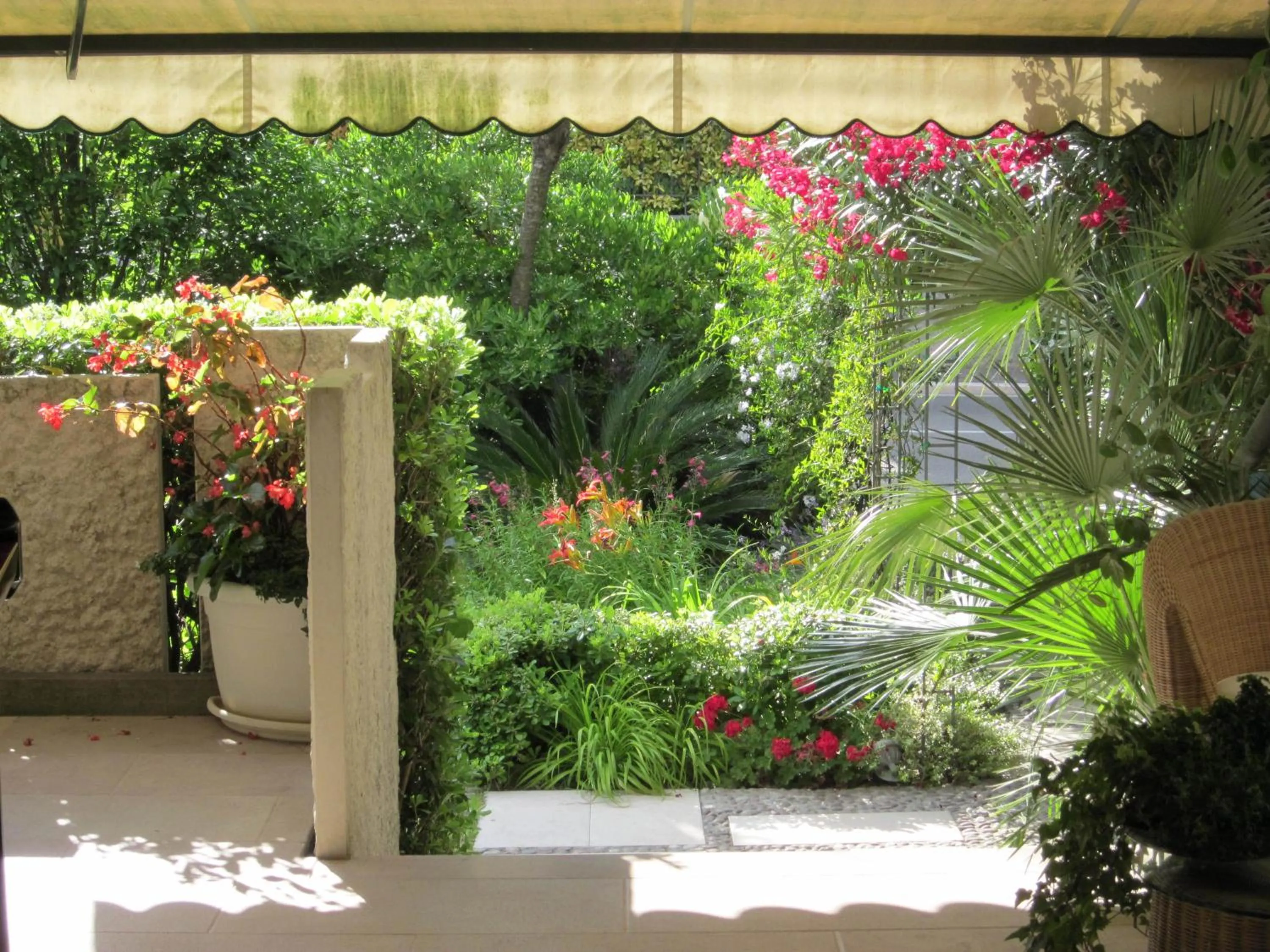 Facade/entrance in Hotel Marina