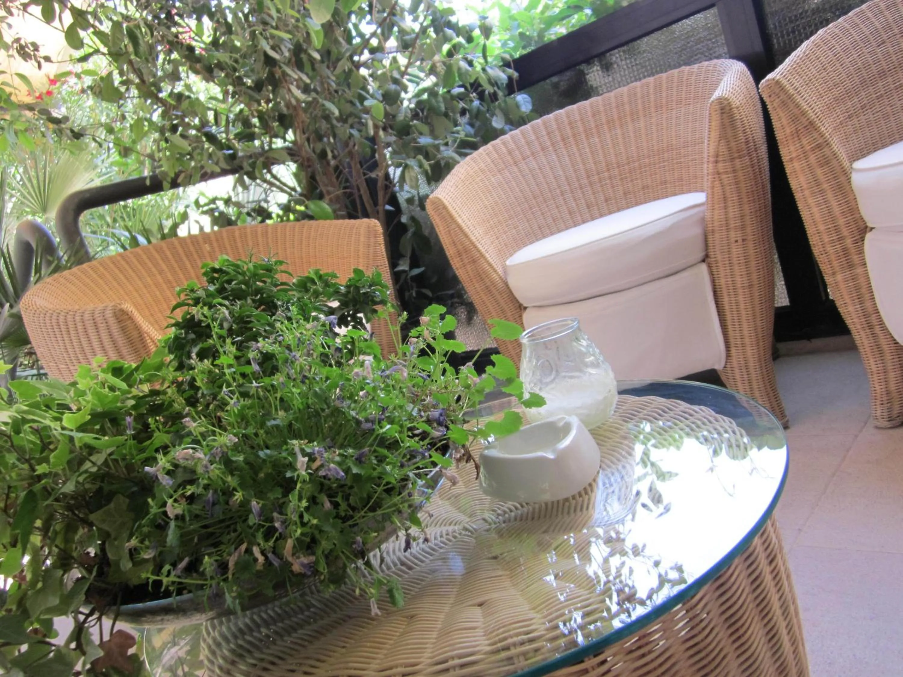 Patio in Hotel Marina