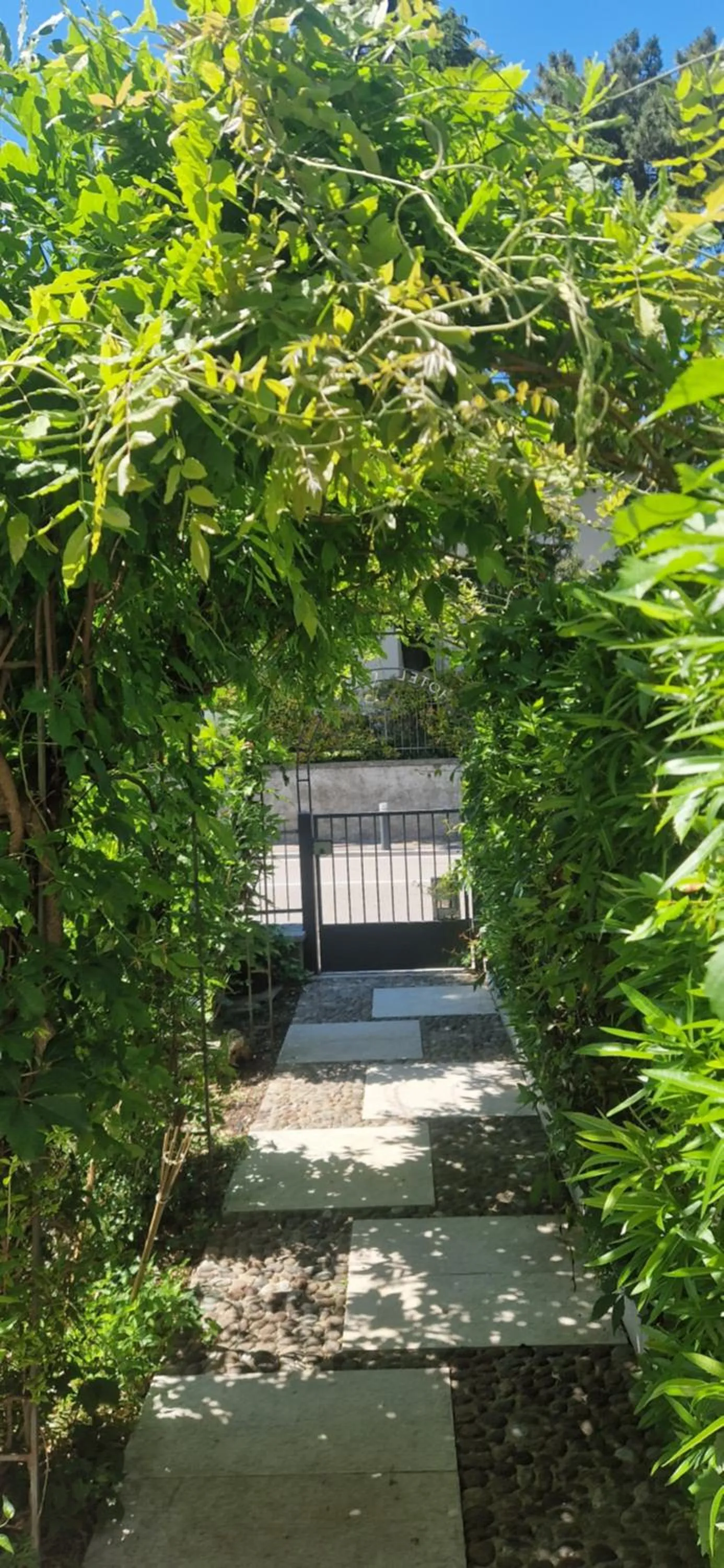 Natural landscape in Hotel Marina