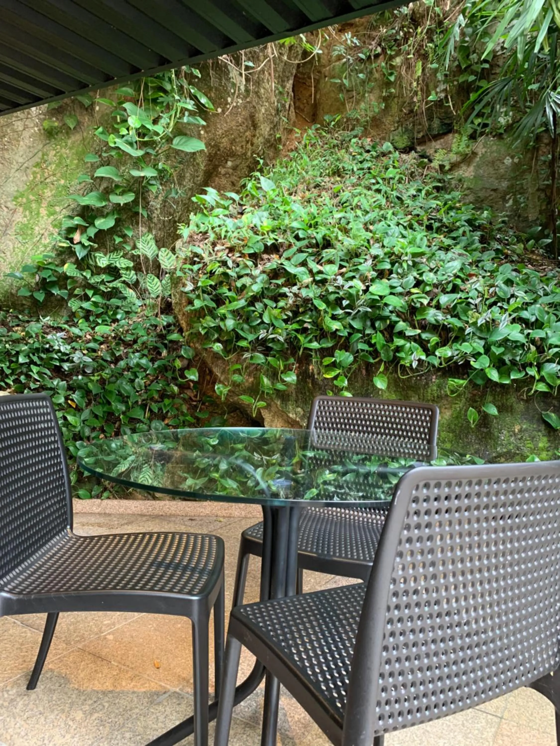 Garden in Hotel Village Icaraí