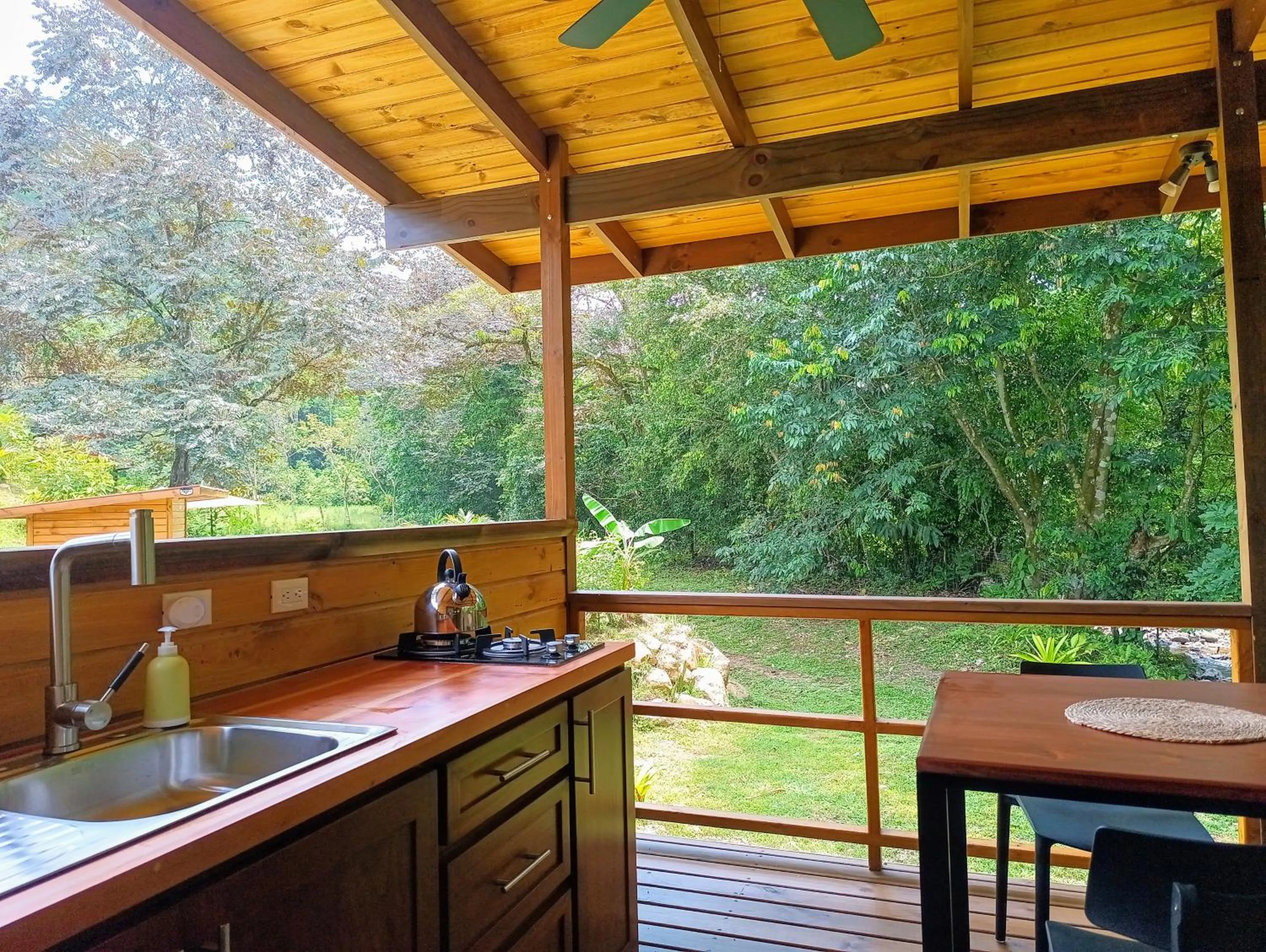 Kitchen or kitchenette in Thoas Lodge