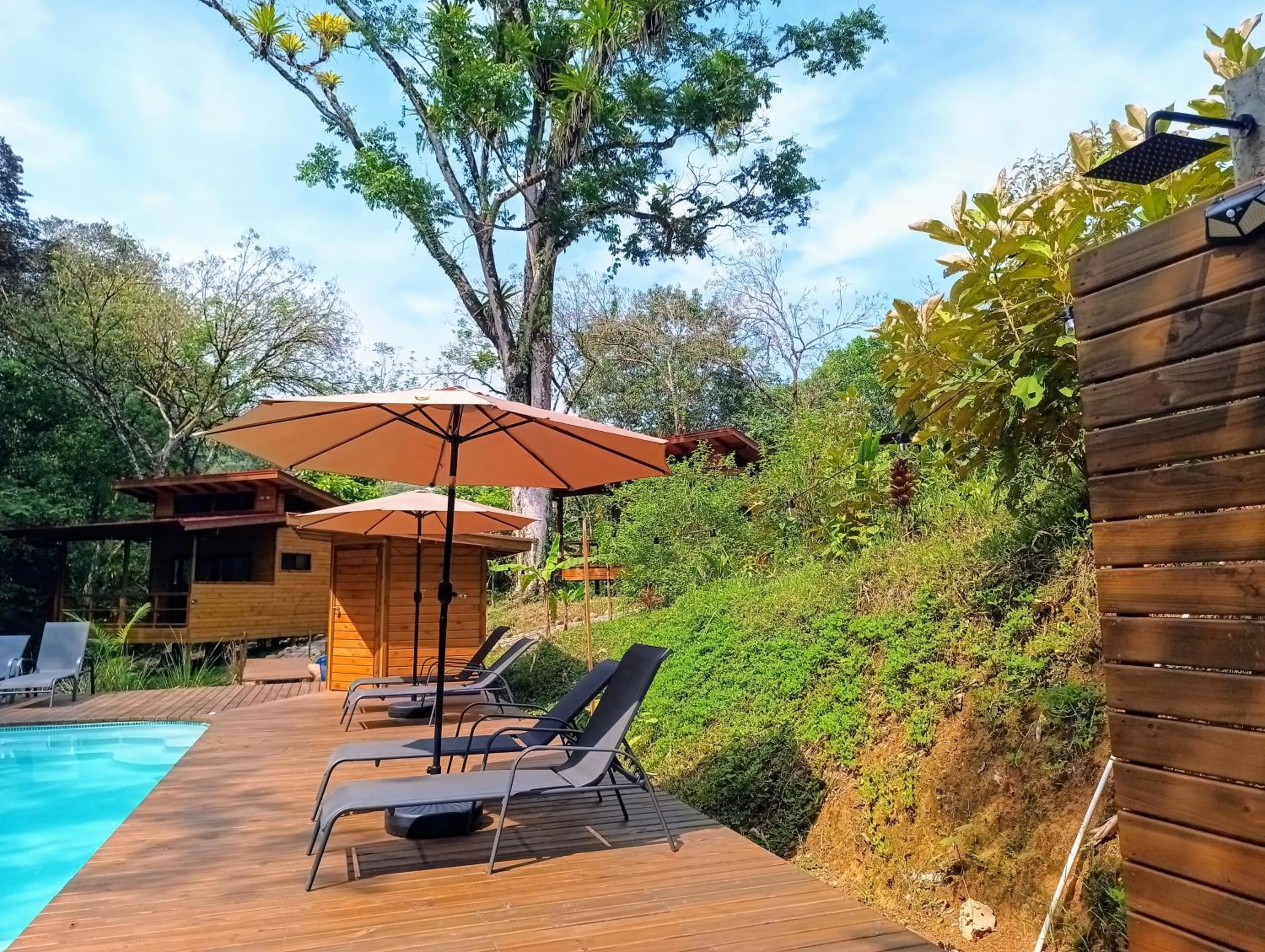 Swimming pool in Thoas Lodge