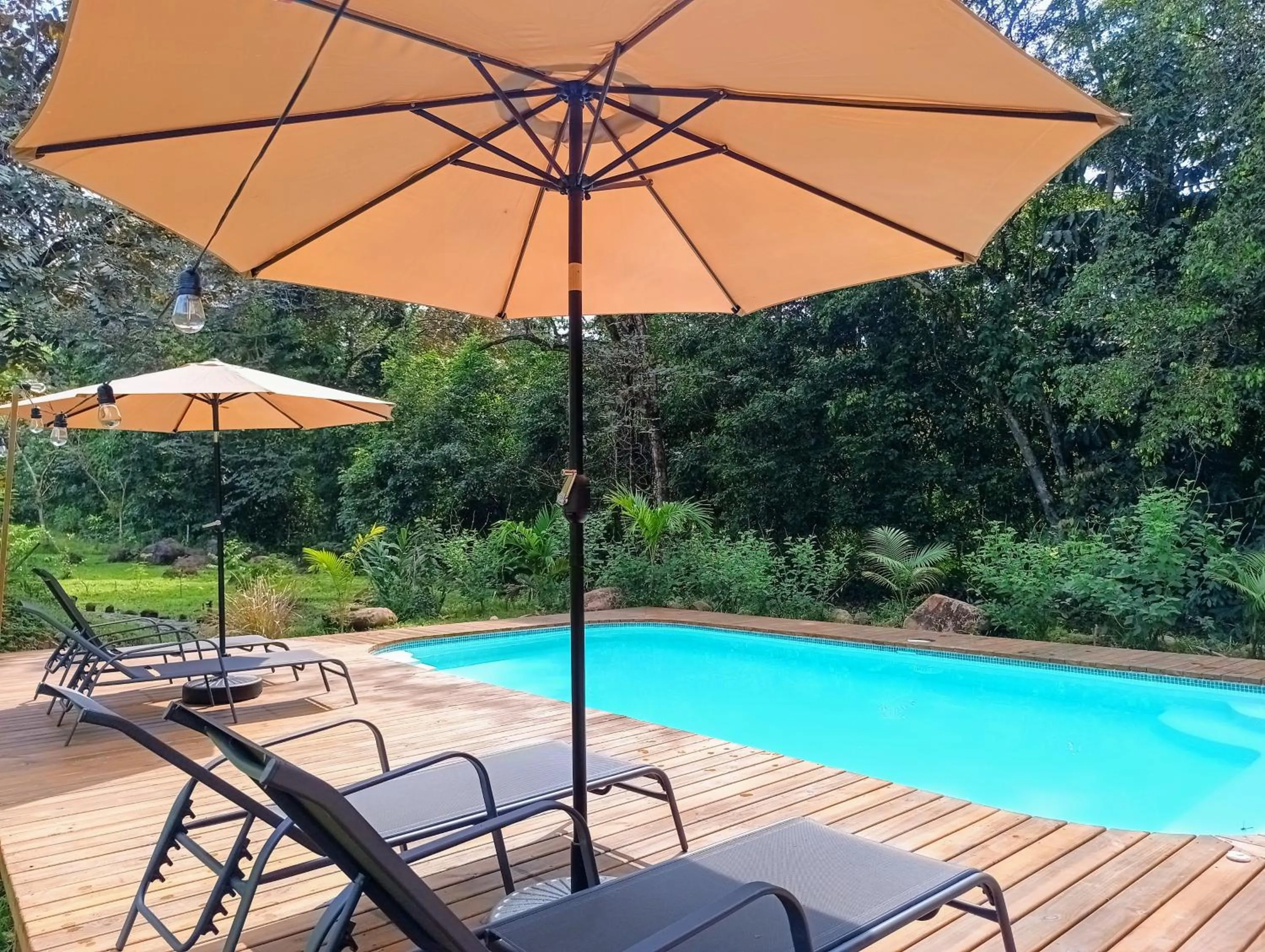 Swimming pool in Thoas Lodge