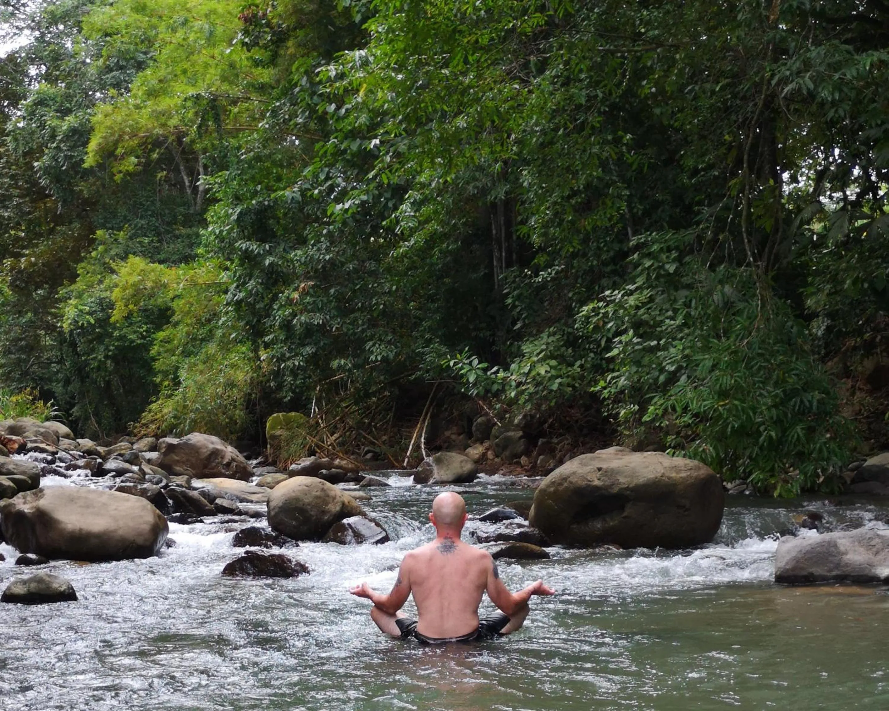 Natural landscape in Thoas Lodge