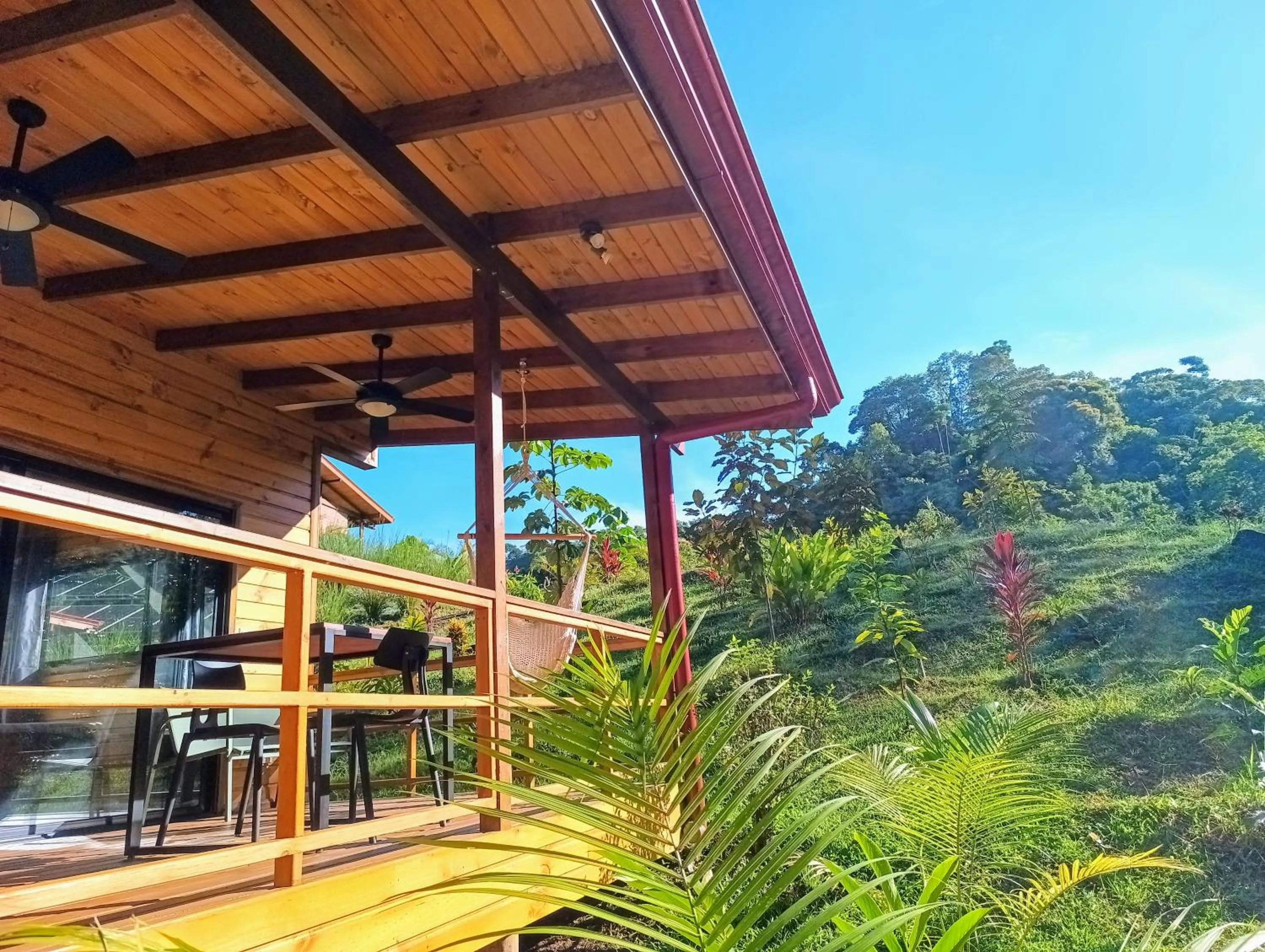 View (from property/room) in Thoas Lodge