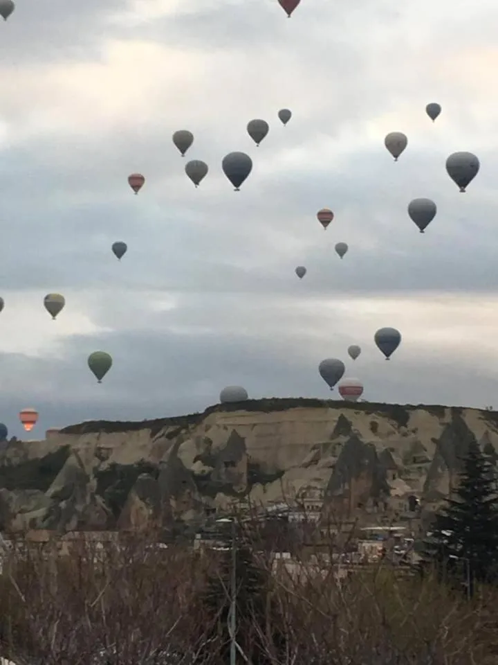 Natural landscape in Alaturca House