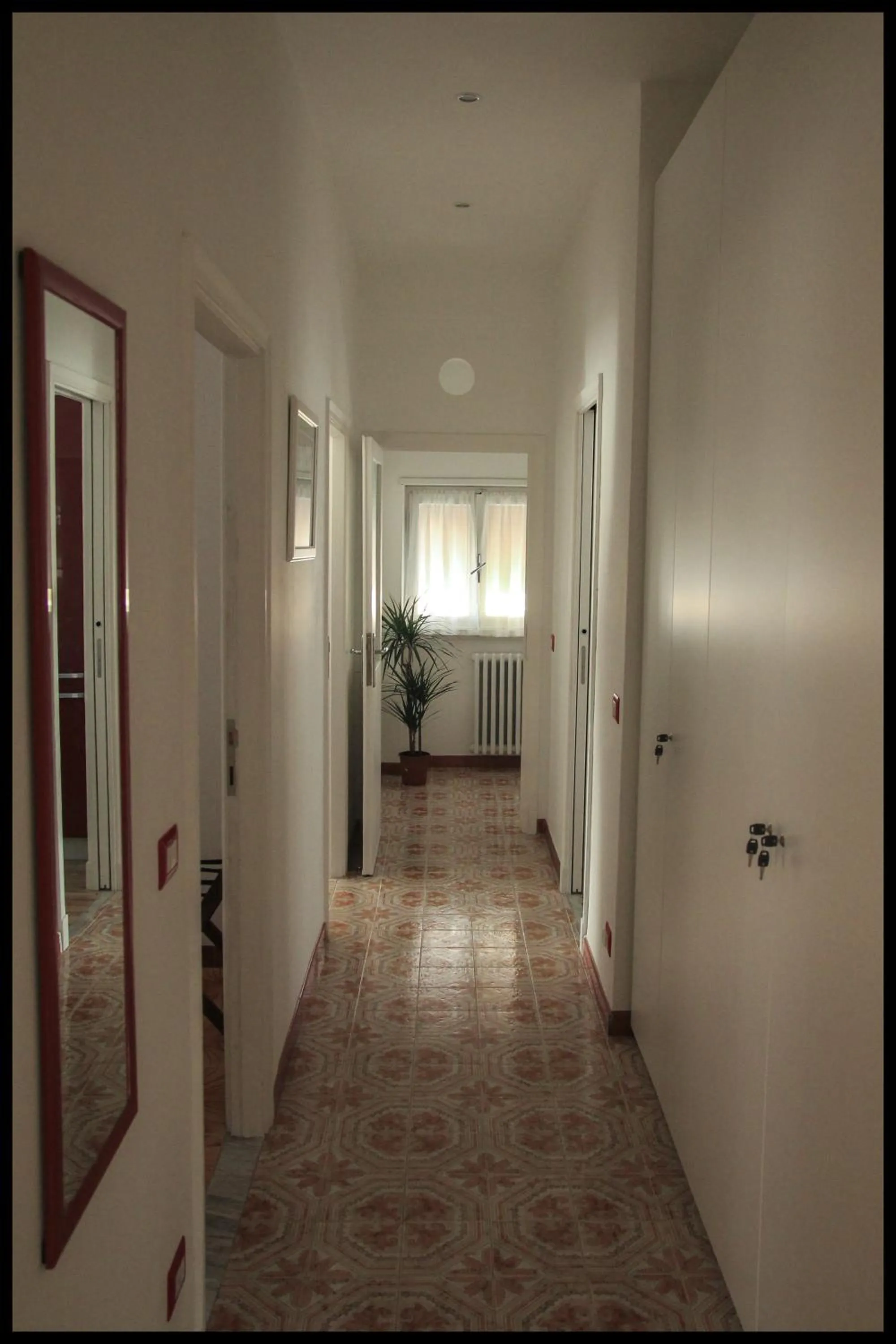 Other in Domus Roma Vacanze - Qui staremo bene