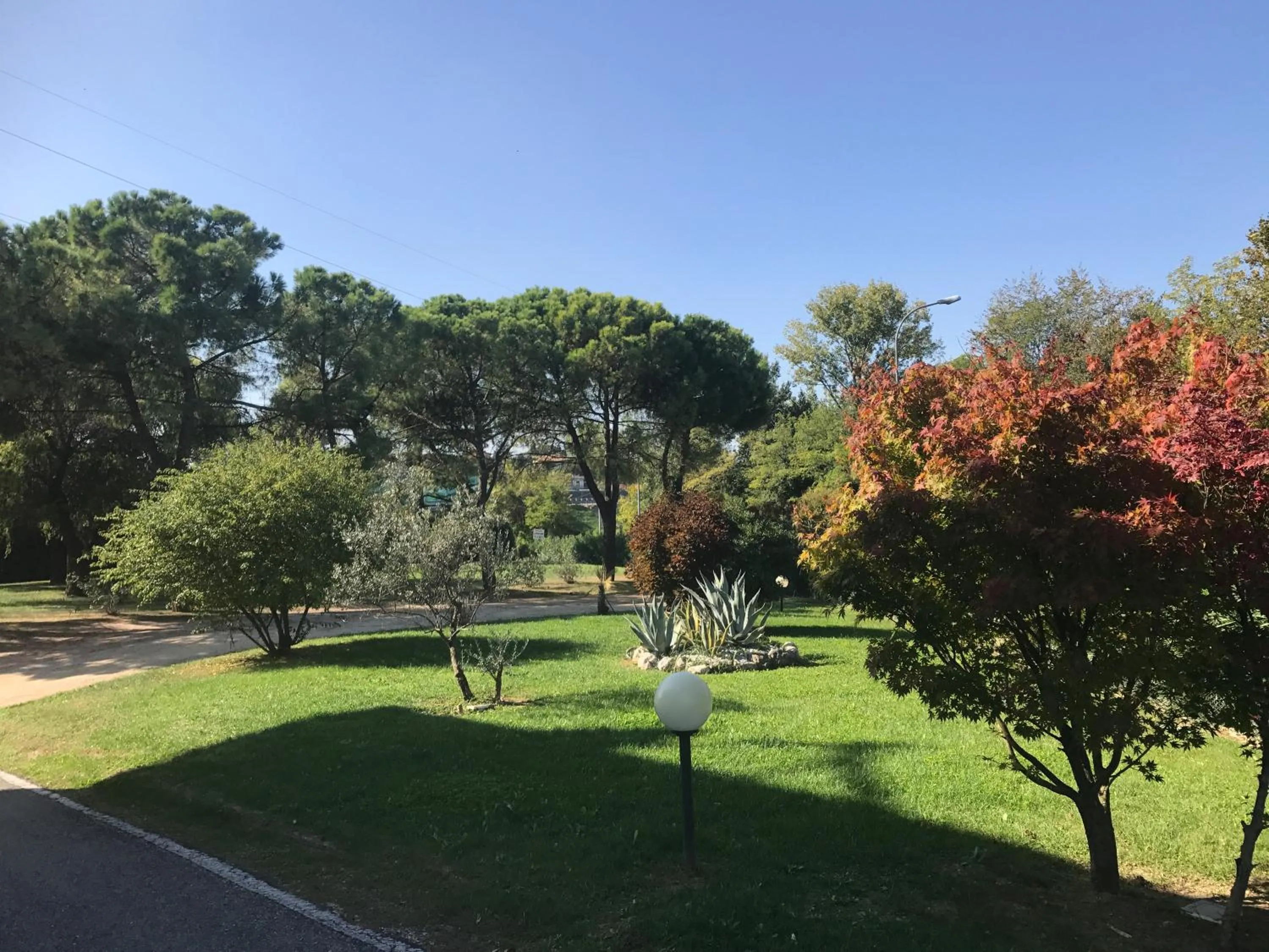 Garden in Hotel Nuova Barcaccia