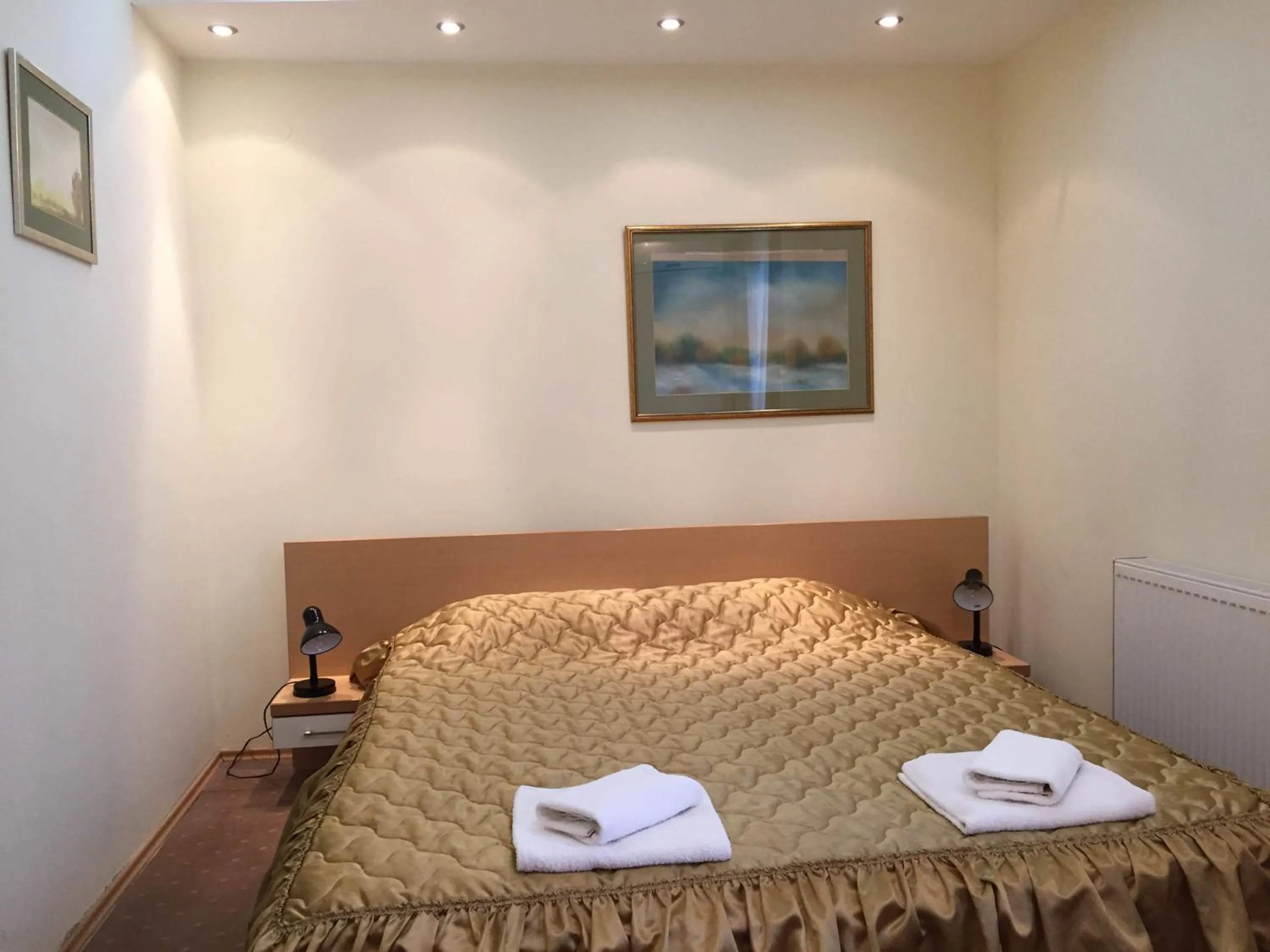 Deluxe Double or Twin Room in Hotel Tiski Cvet