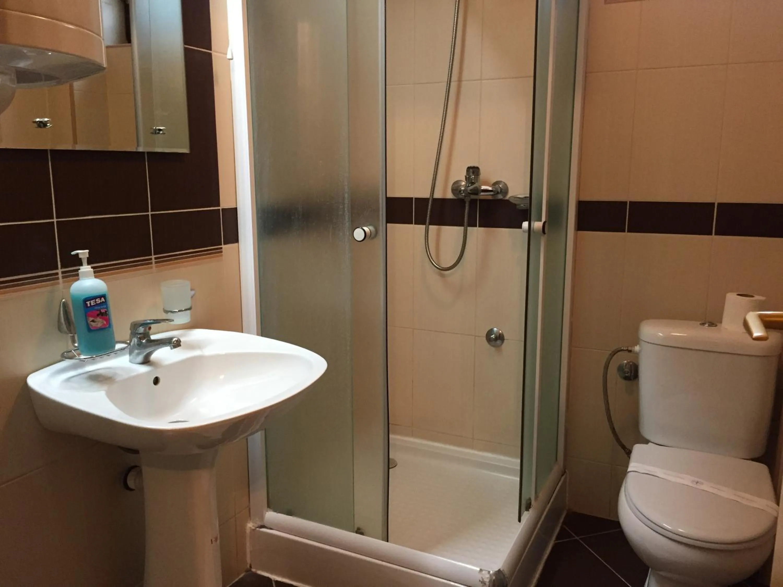 Economy Single Room - single occupancy in Hotel Tiski Cvet