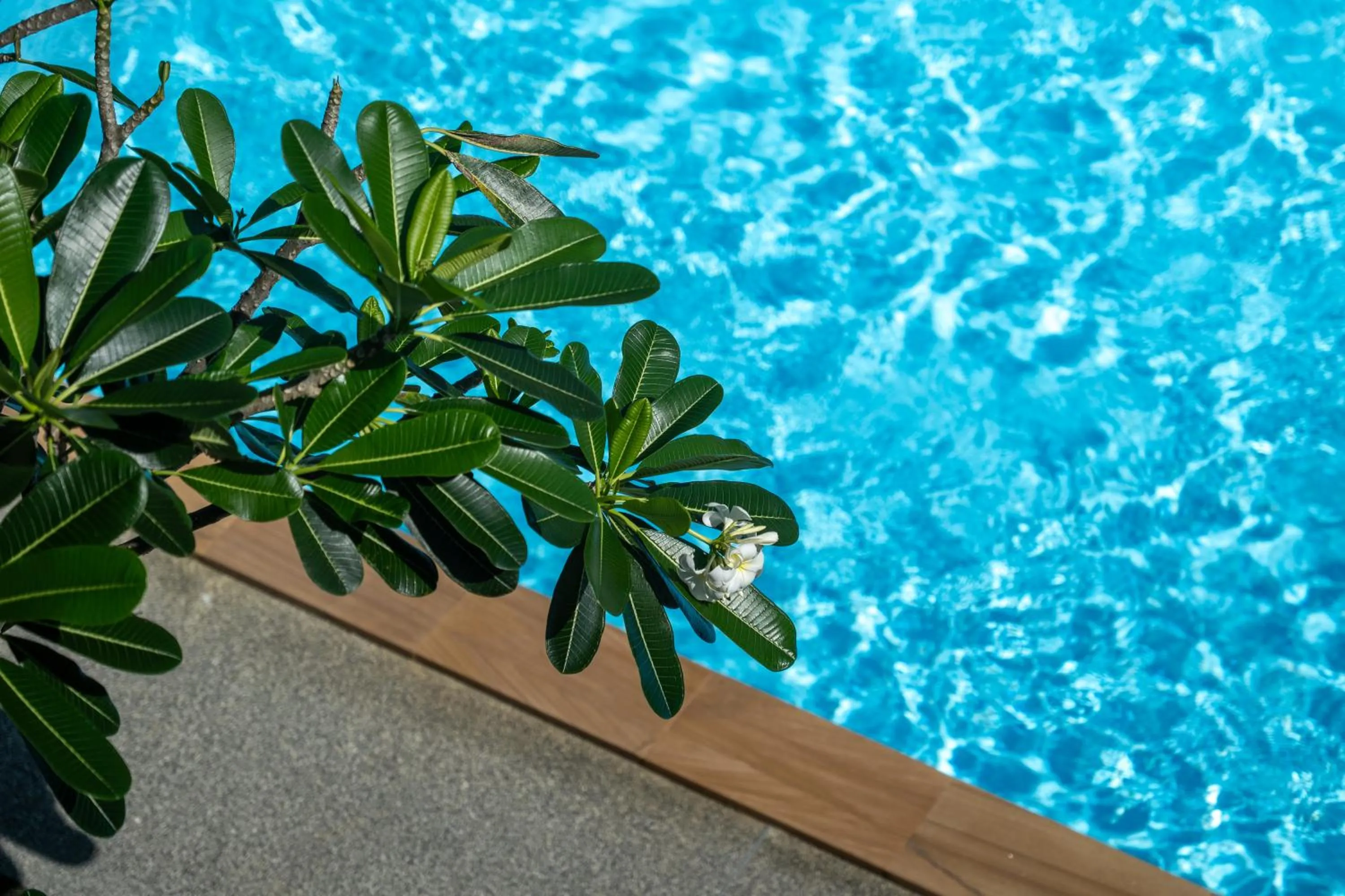 Day in Seaside Naithon Phuket - Newly Opened