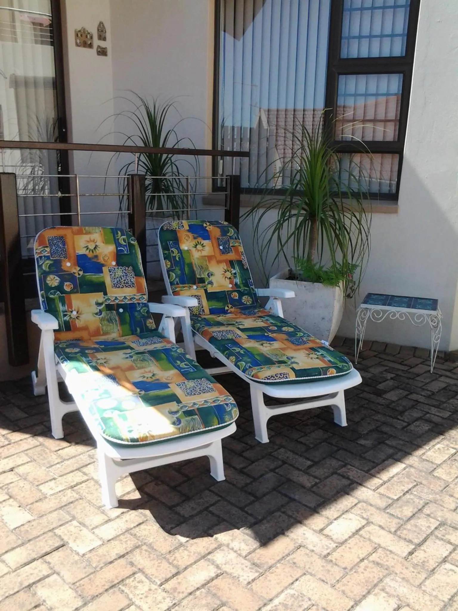 Day in The Third Dolphin