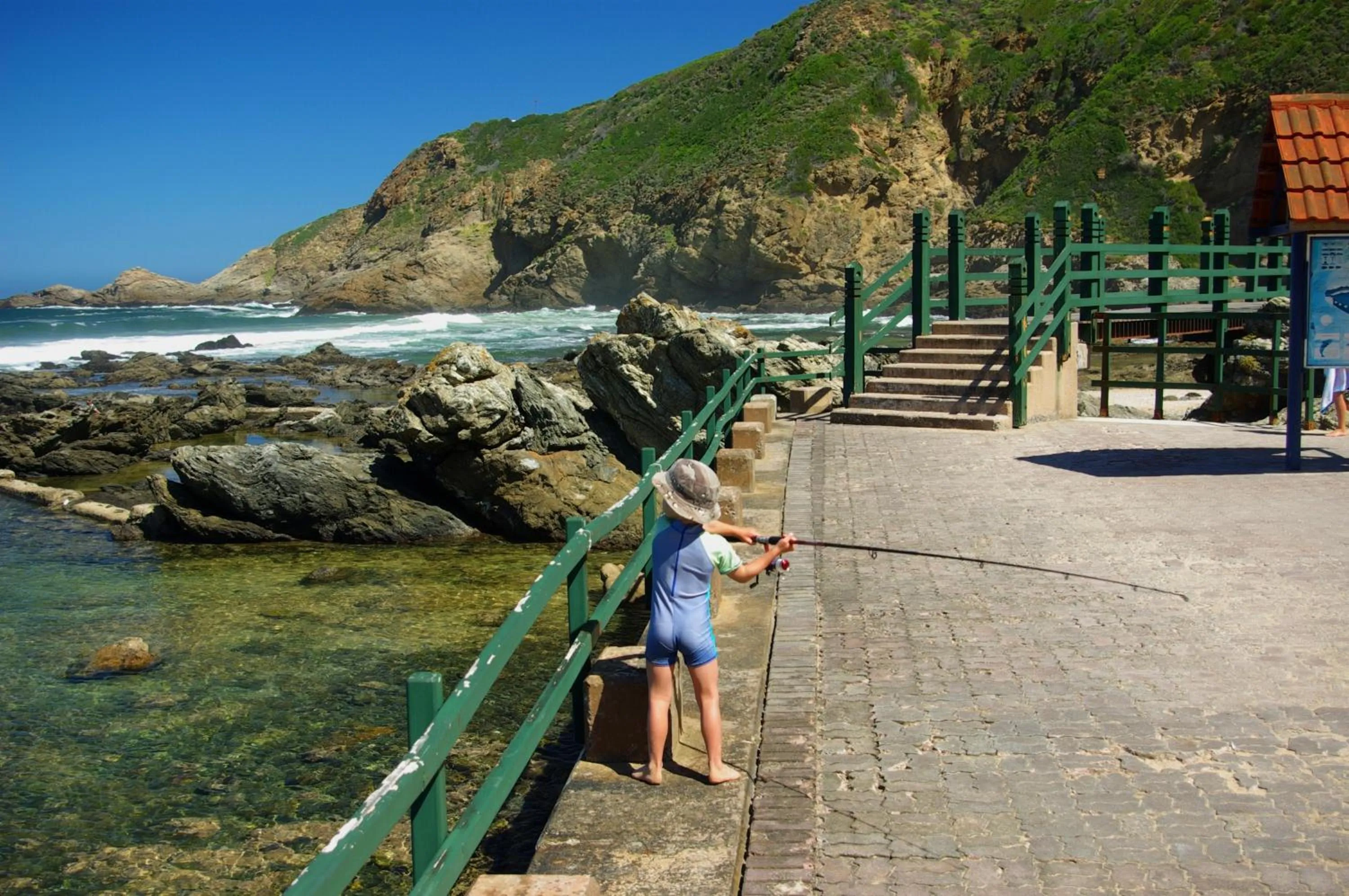 Fishing in The Third Dolphin