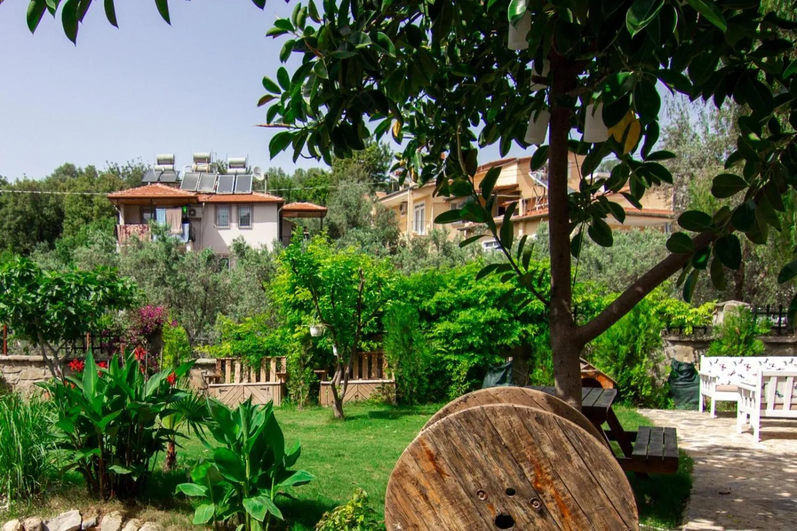 Garden view in Kampüs Garden