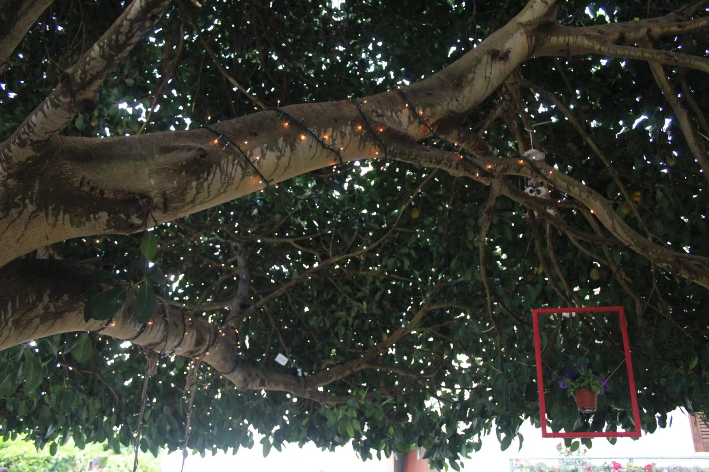 Day in Mediterraneo B&B