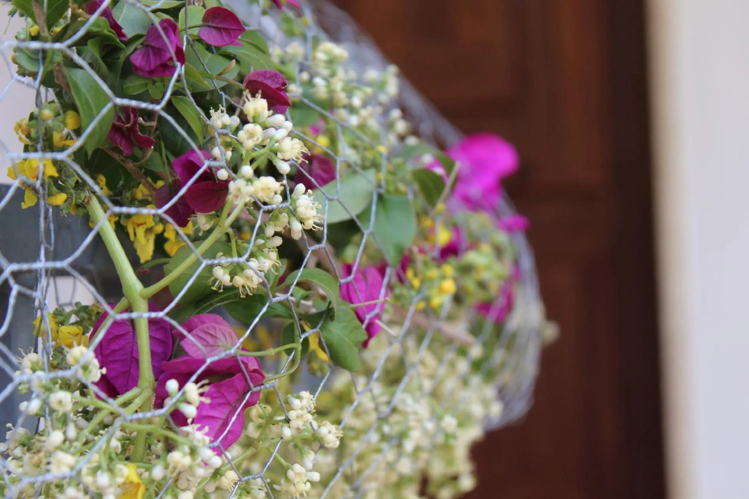 Garden view in Mediterraneo B&B