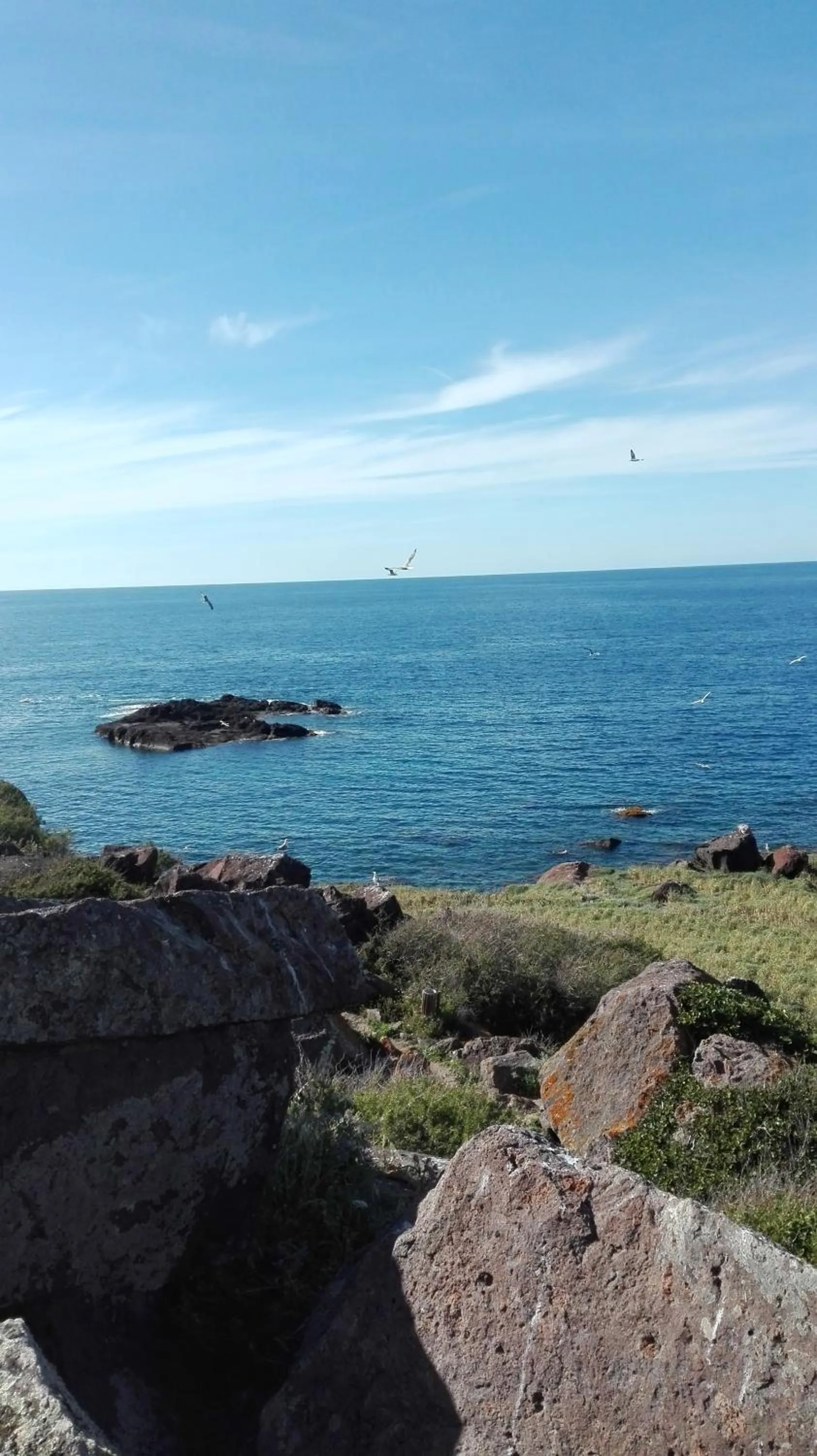 Natural landscape in B&B Fontevecchia