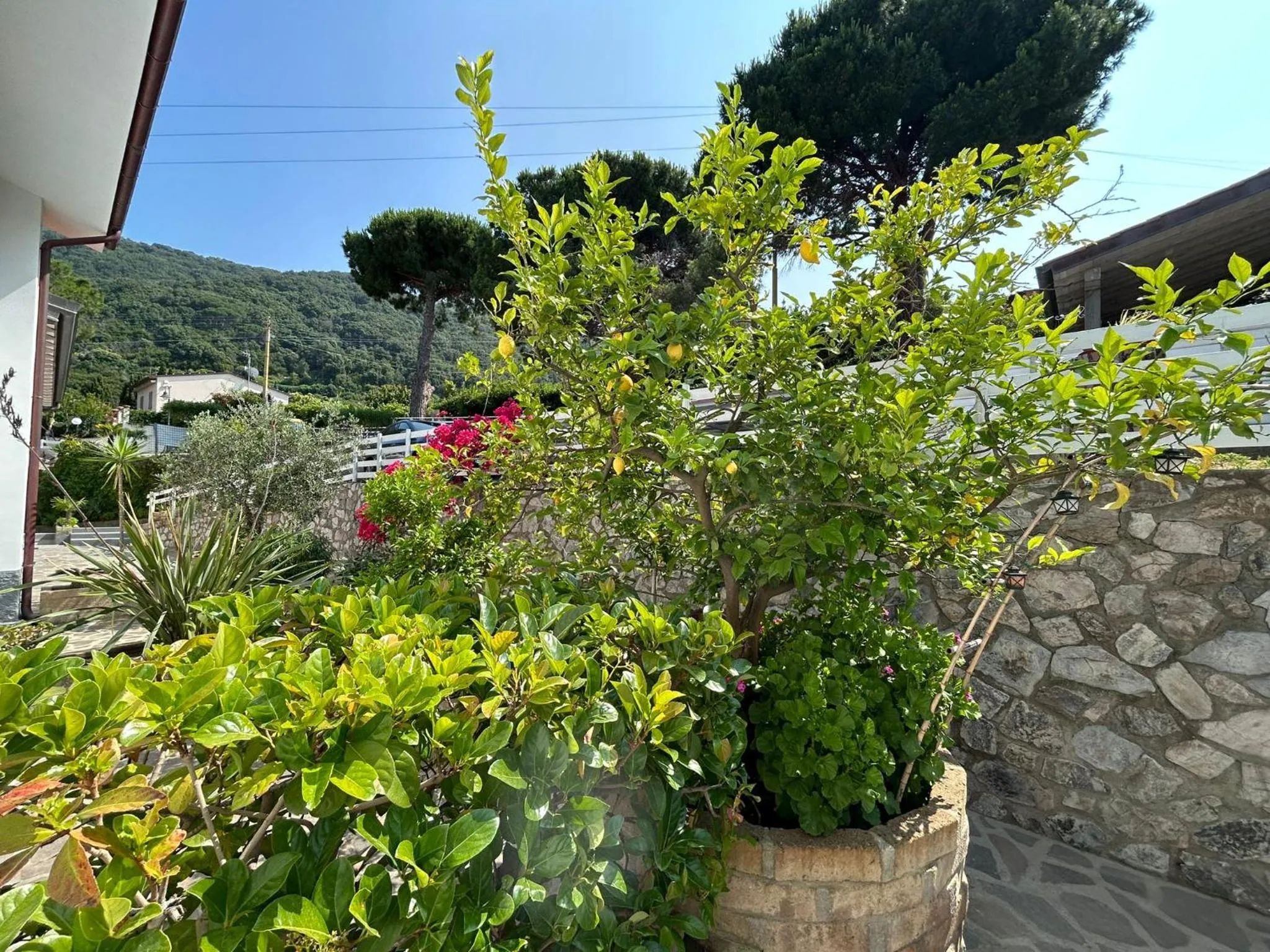 Spring in Hotel Sant'Andrea