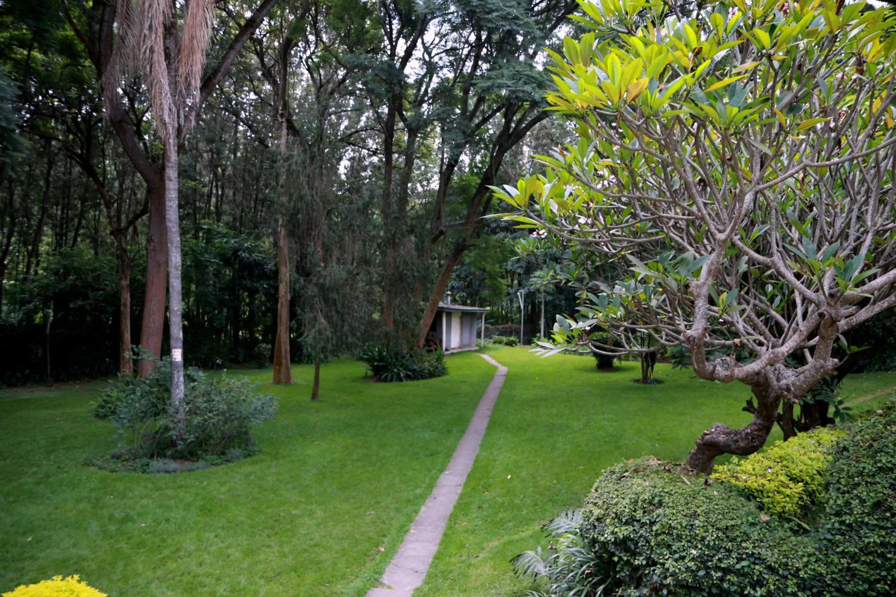 Garden in Equator Hotel