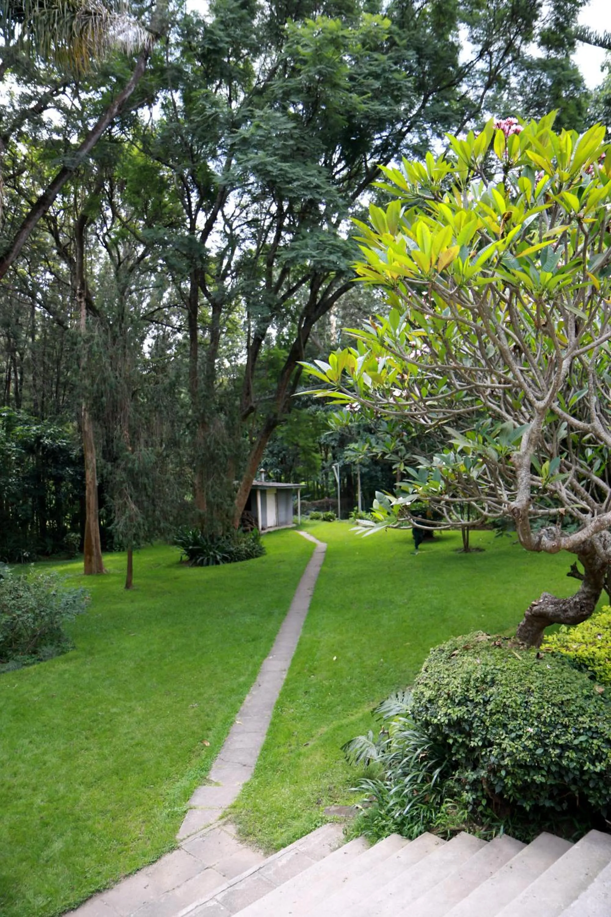 Garden in Equator Hotel