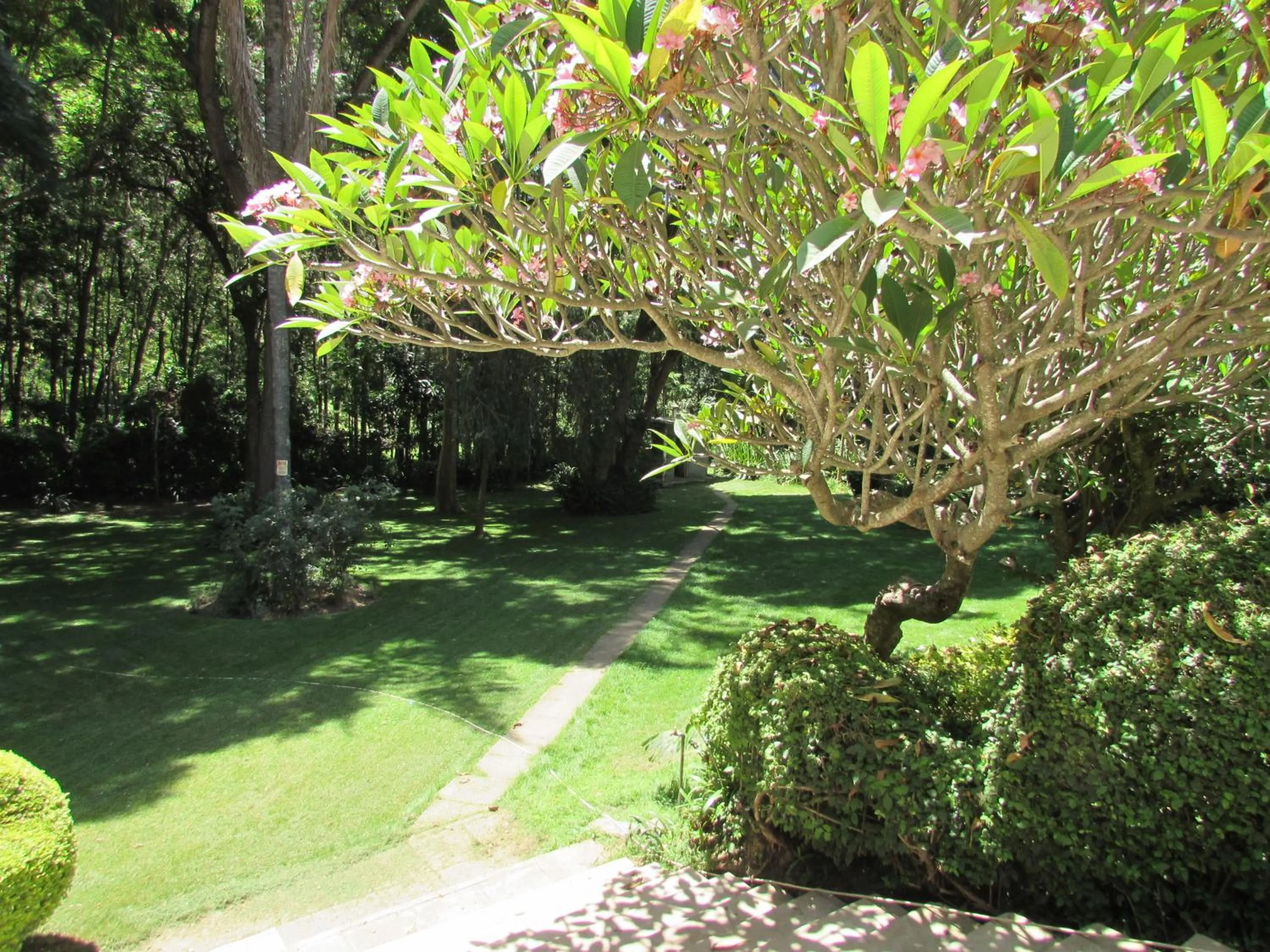Garden in Equator Hotel