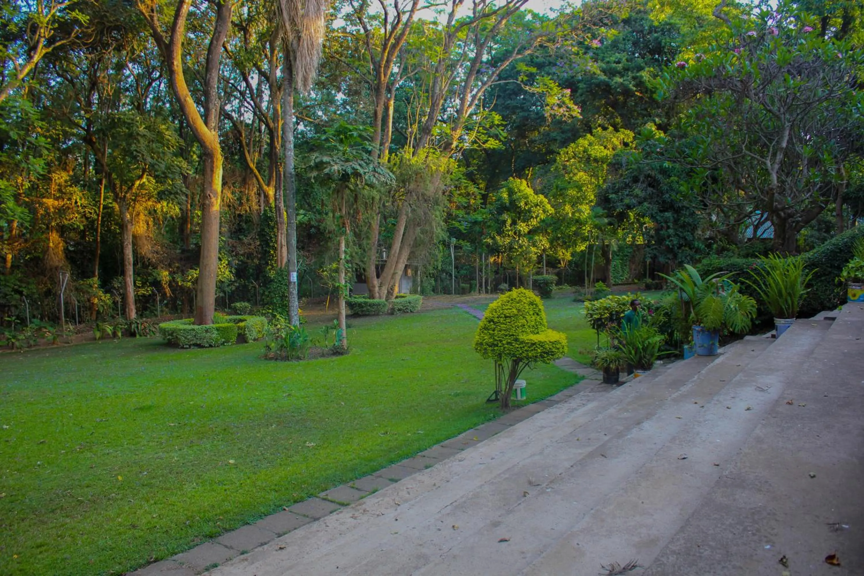 Garden view in Equator Hotel