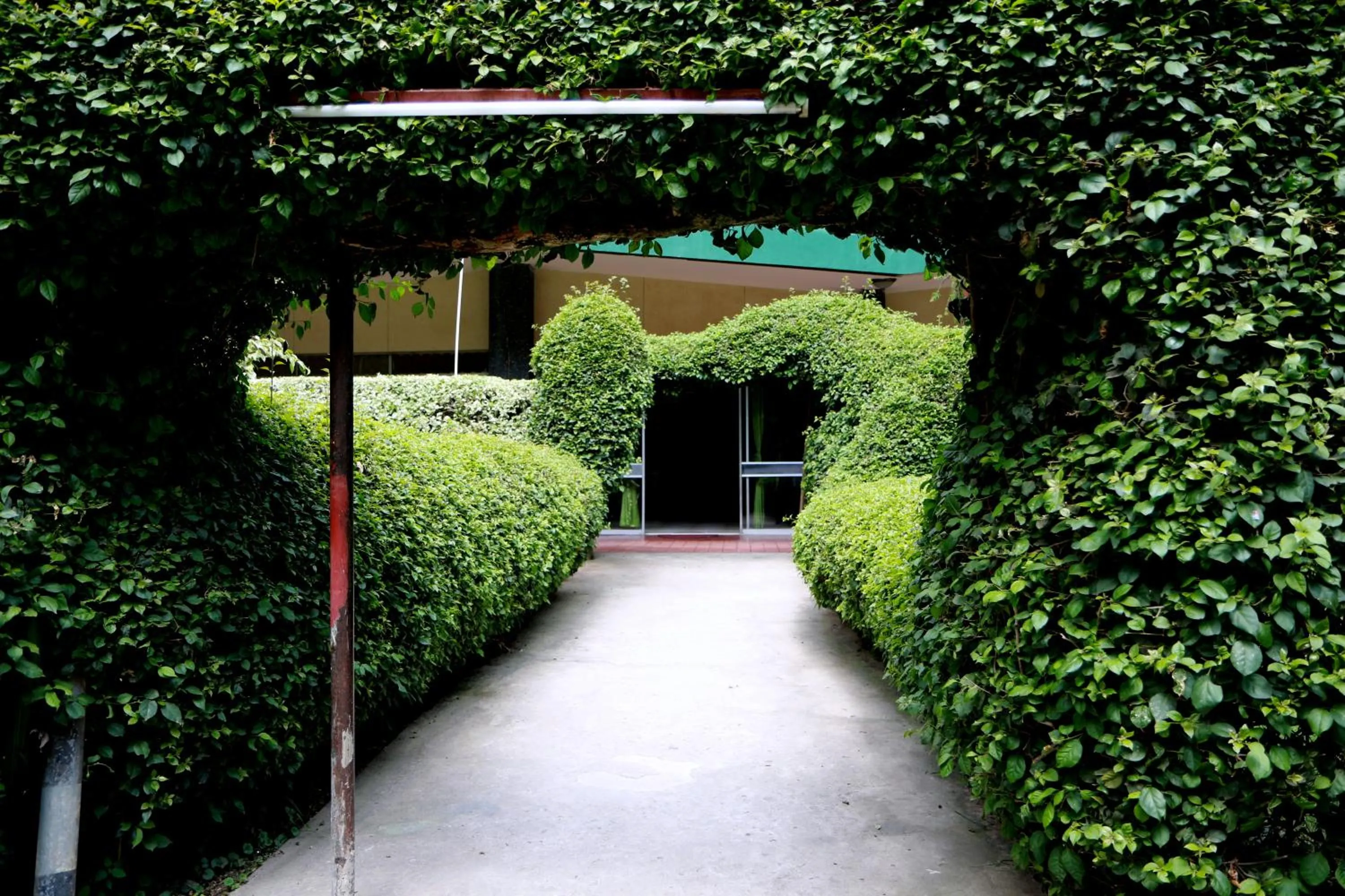 Garden in Equator Hotel