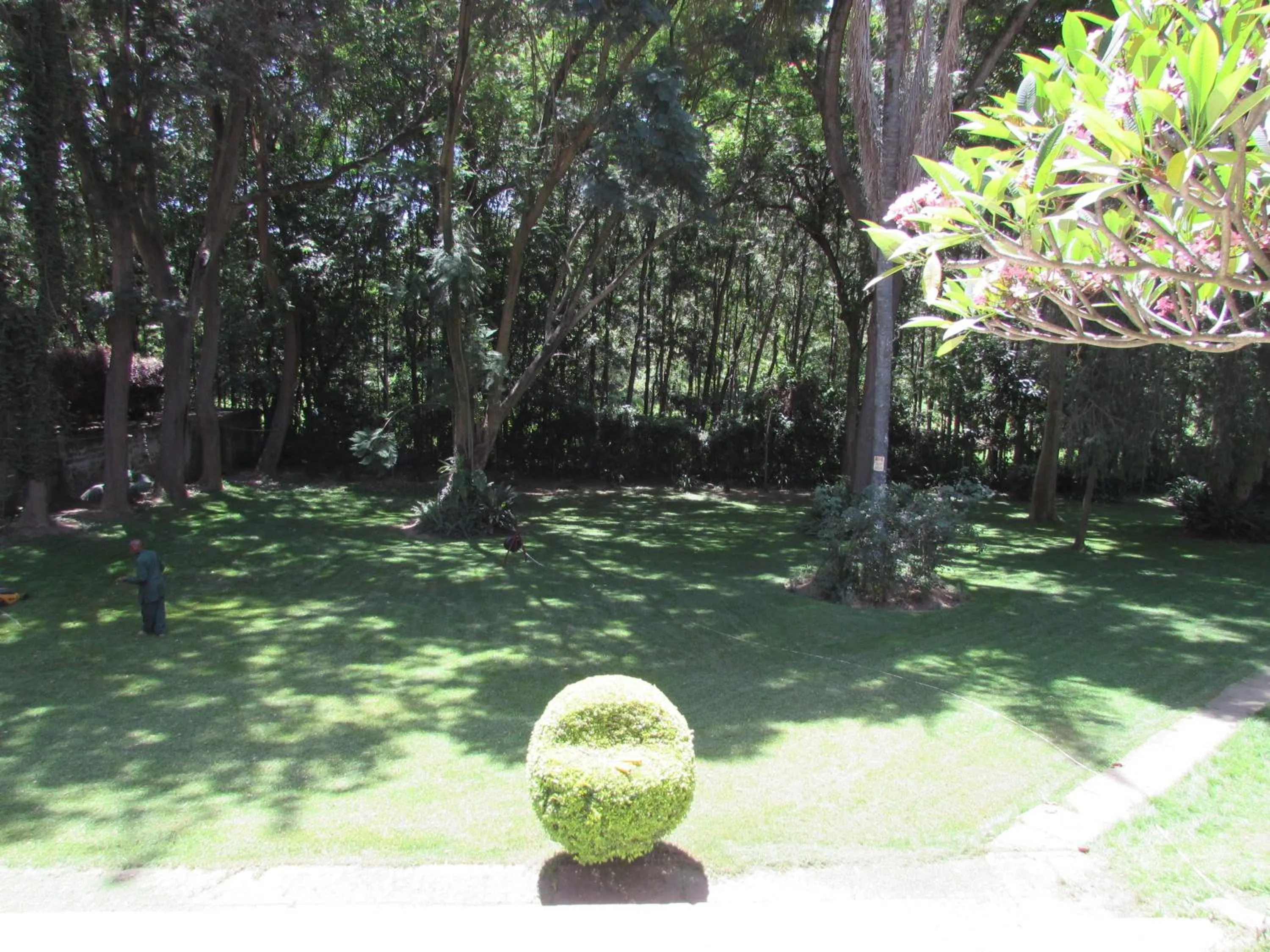 Garden in Equator Hotel