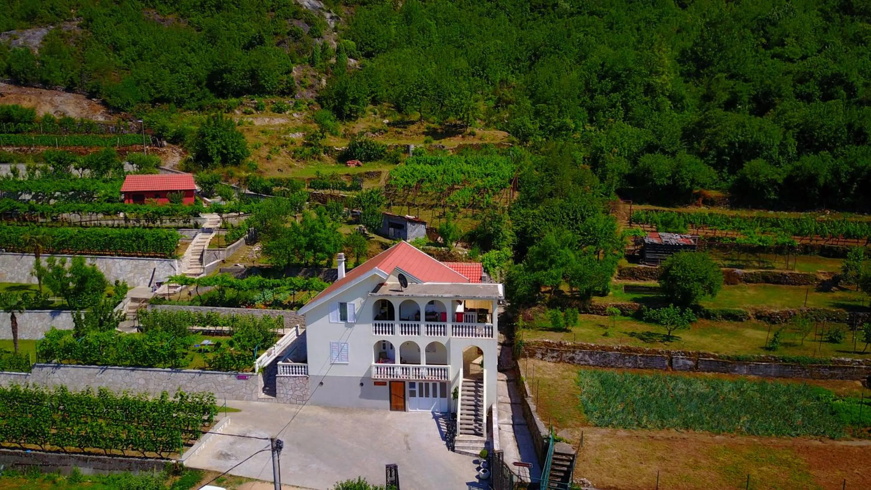 Country House Djurisic
