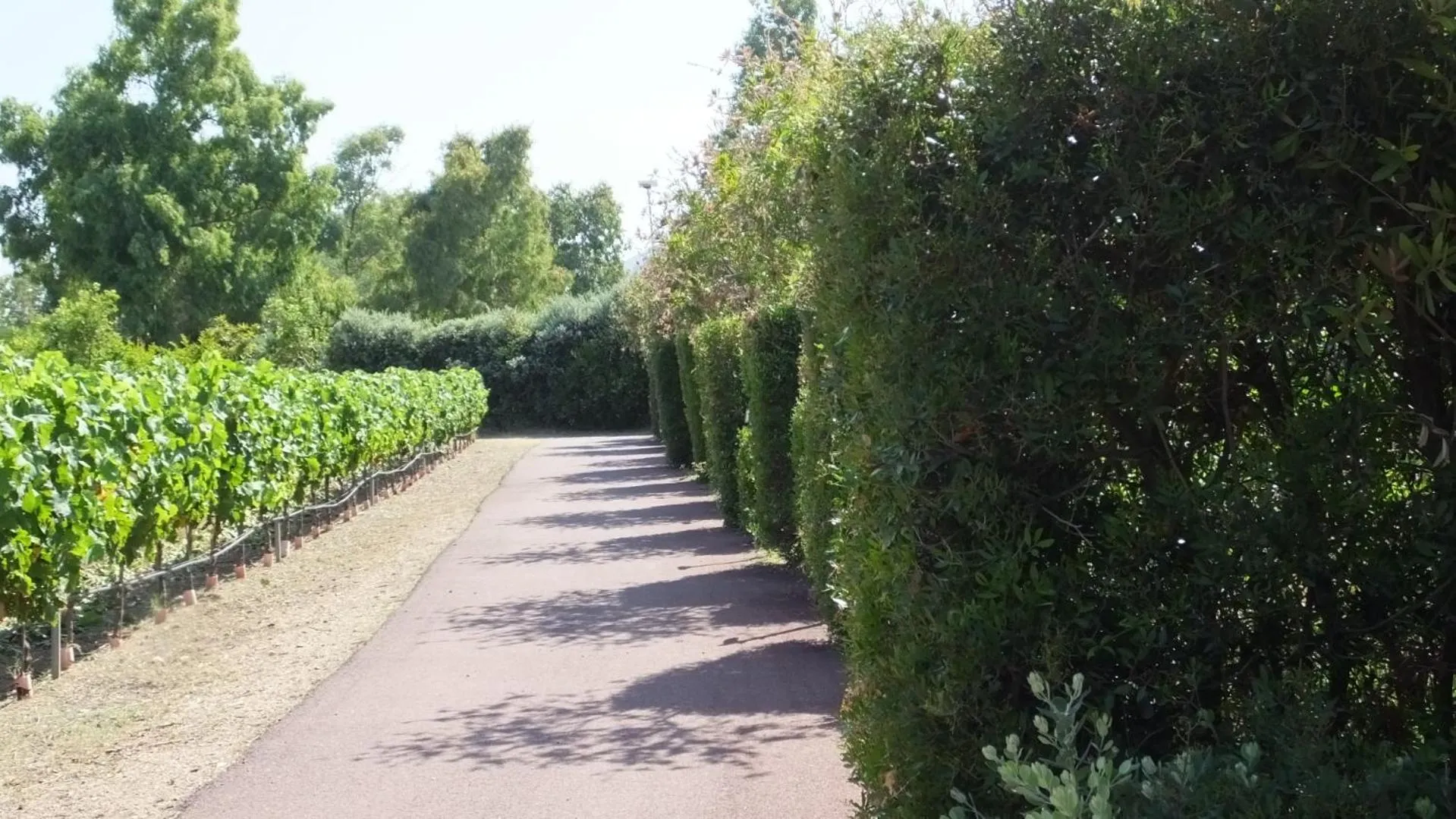 Property building in Hotel Rurale Orti di Nora & SPA