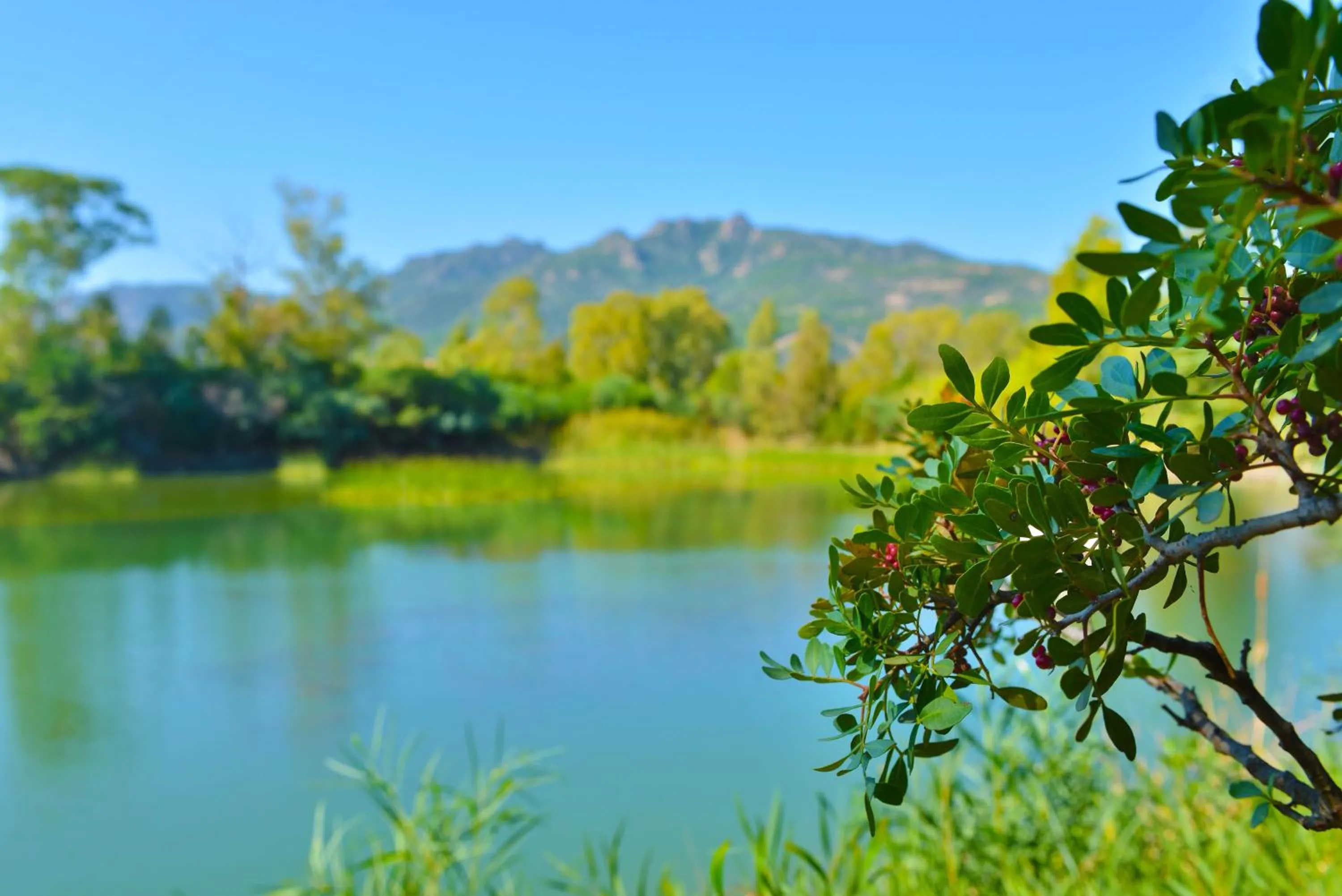 Lake view in Hotel Rurale Orti di Nora & SPA
