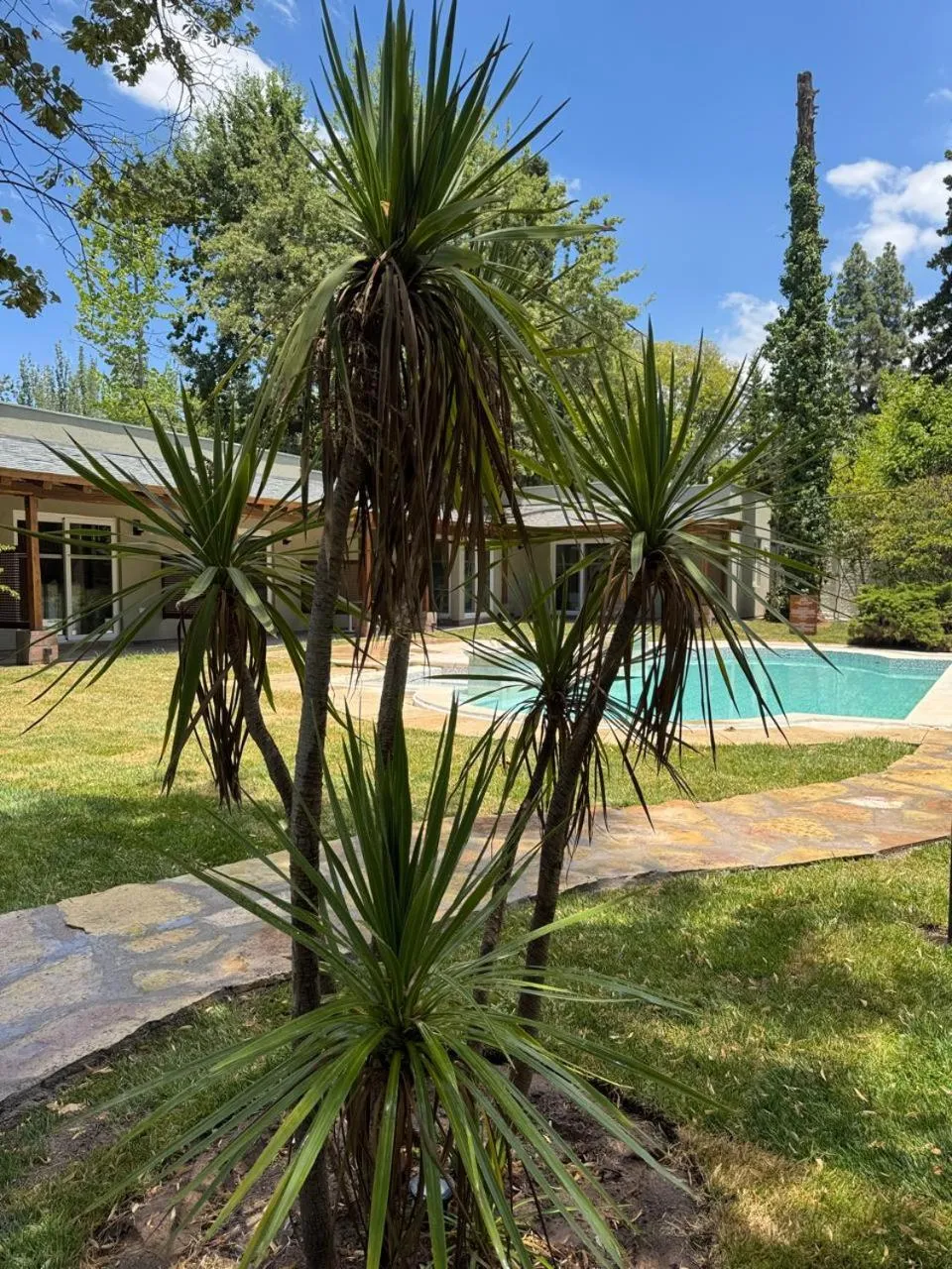 Swimming pool in Casa Haydee