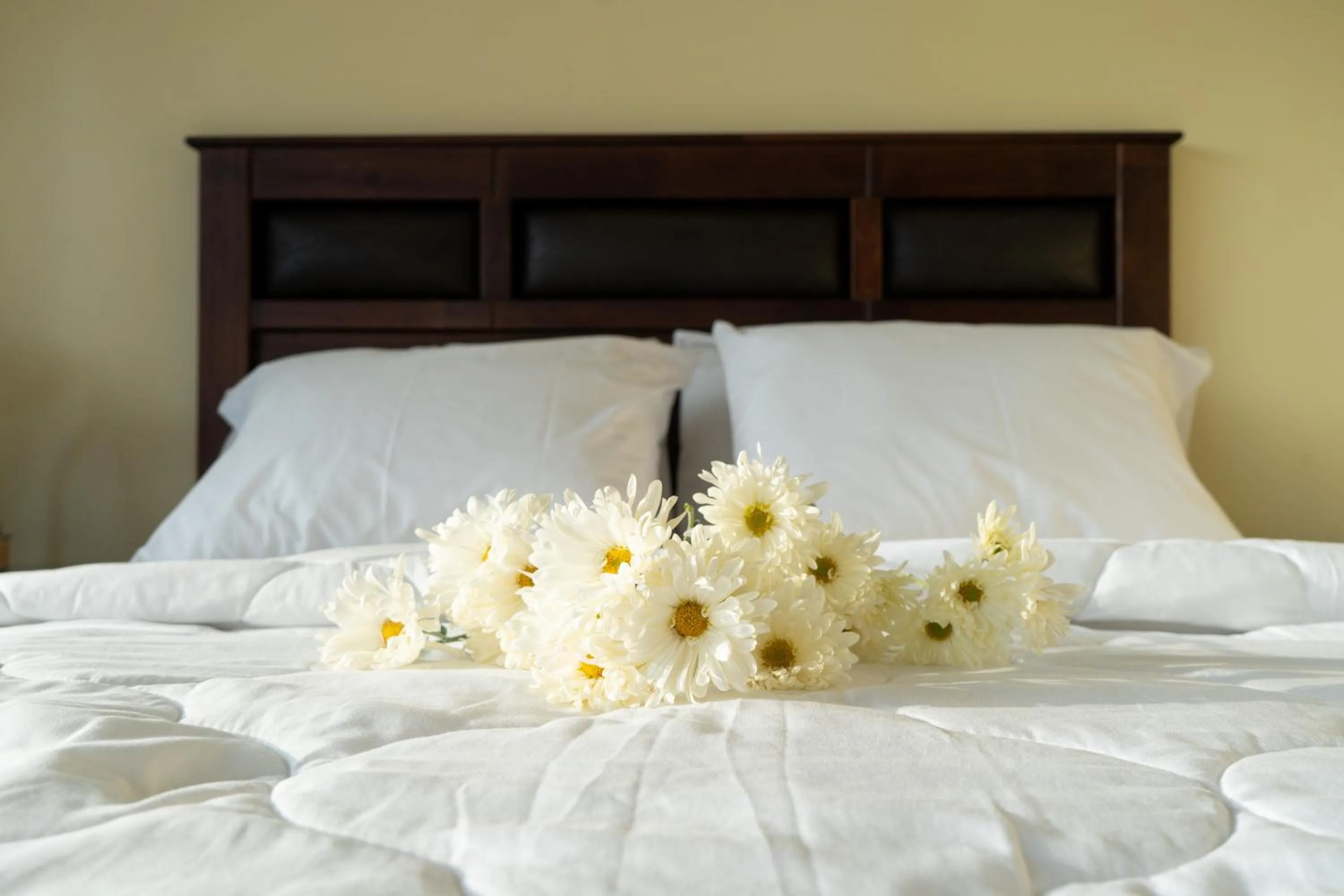 Bed in San Miguel Awanka Hotel