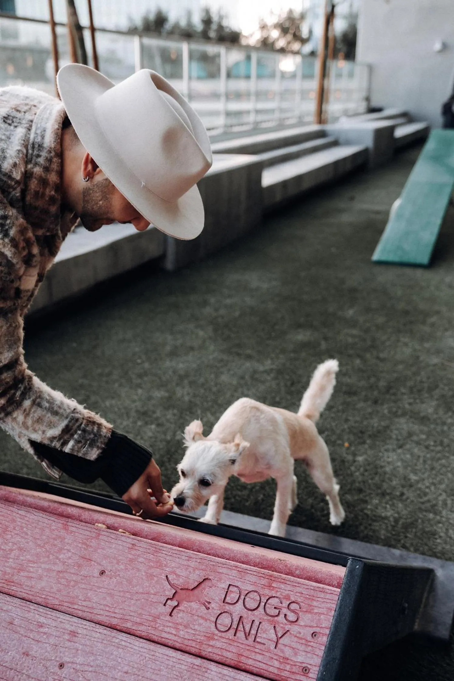 Pets in Level Los Angeles - Downtown South Olive