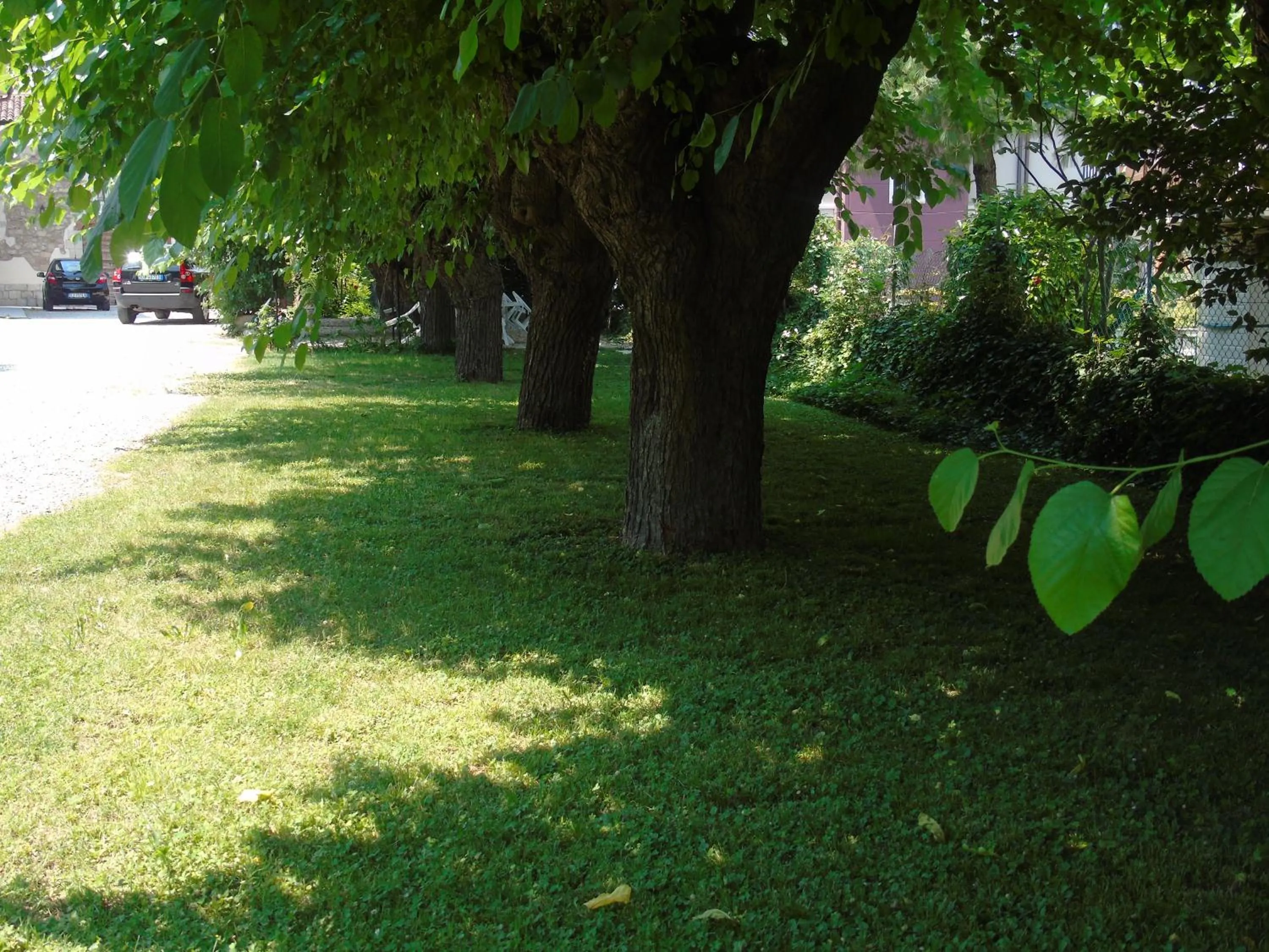 Garden view in Albergo Grifone 1891